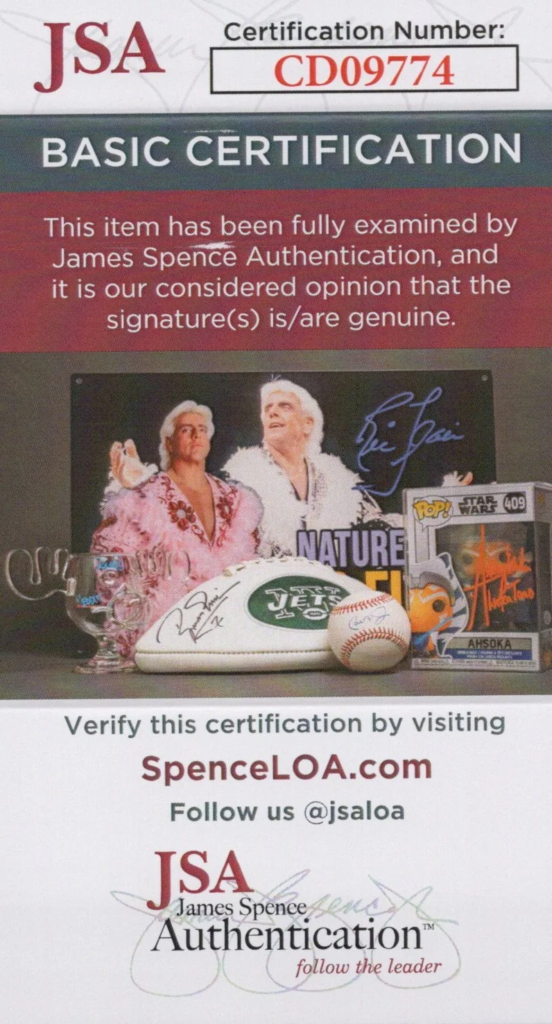 Mike Shapiro — Mike Shapiro Signed 8x10 Half Life 2 G-Man Autograph Photo Valve JSA COA, изображение 2