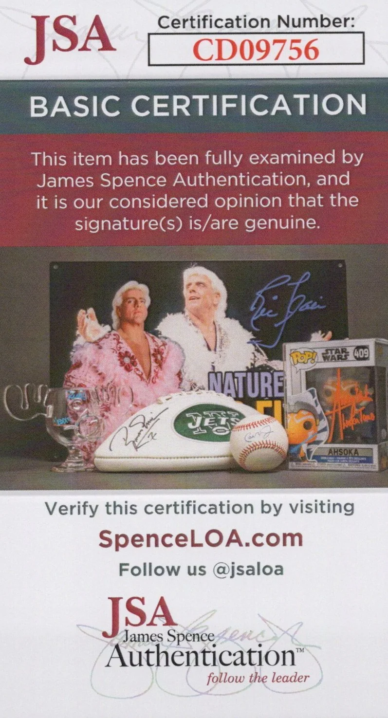 Mike Shapiro — Mike Shapiro Signed 8x10 Half Life 2 G-Man Autograph Photo Valve JSA COA, image 2