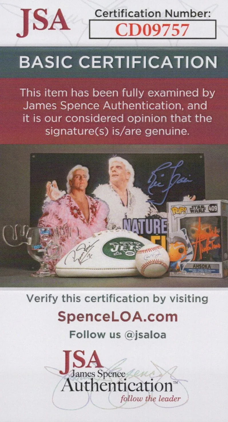 Mike Shapiro — Mike Shapiro Signed 8x10 Half Life 2 G-Man Autograph Photo Valve JSA COA, image 2