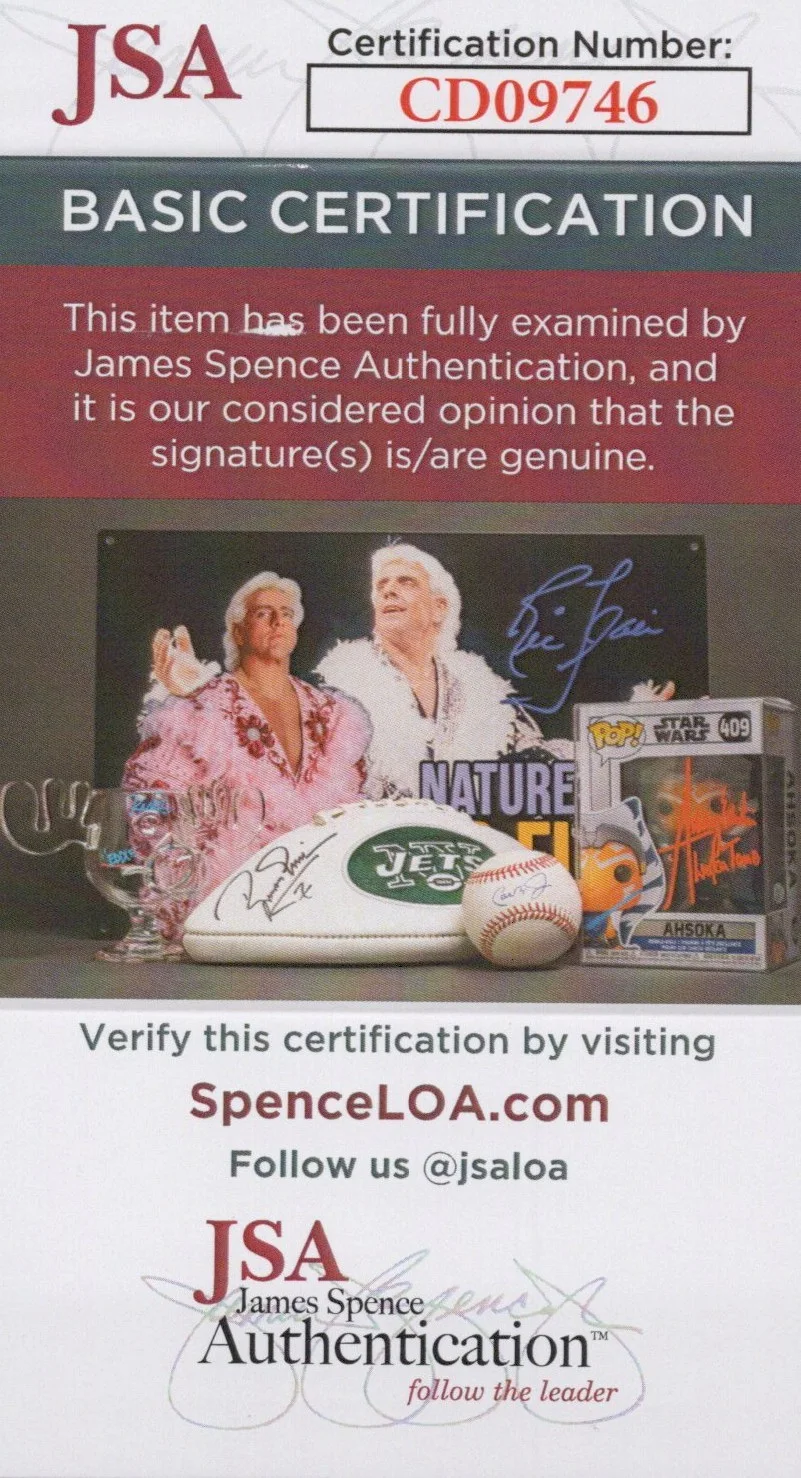 Mike Shapiro — Mike Shapiro Signed 8x10 Half Life 2 G-Man Autograph Photo Valve JSA COA, изображение 2