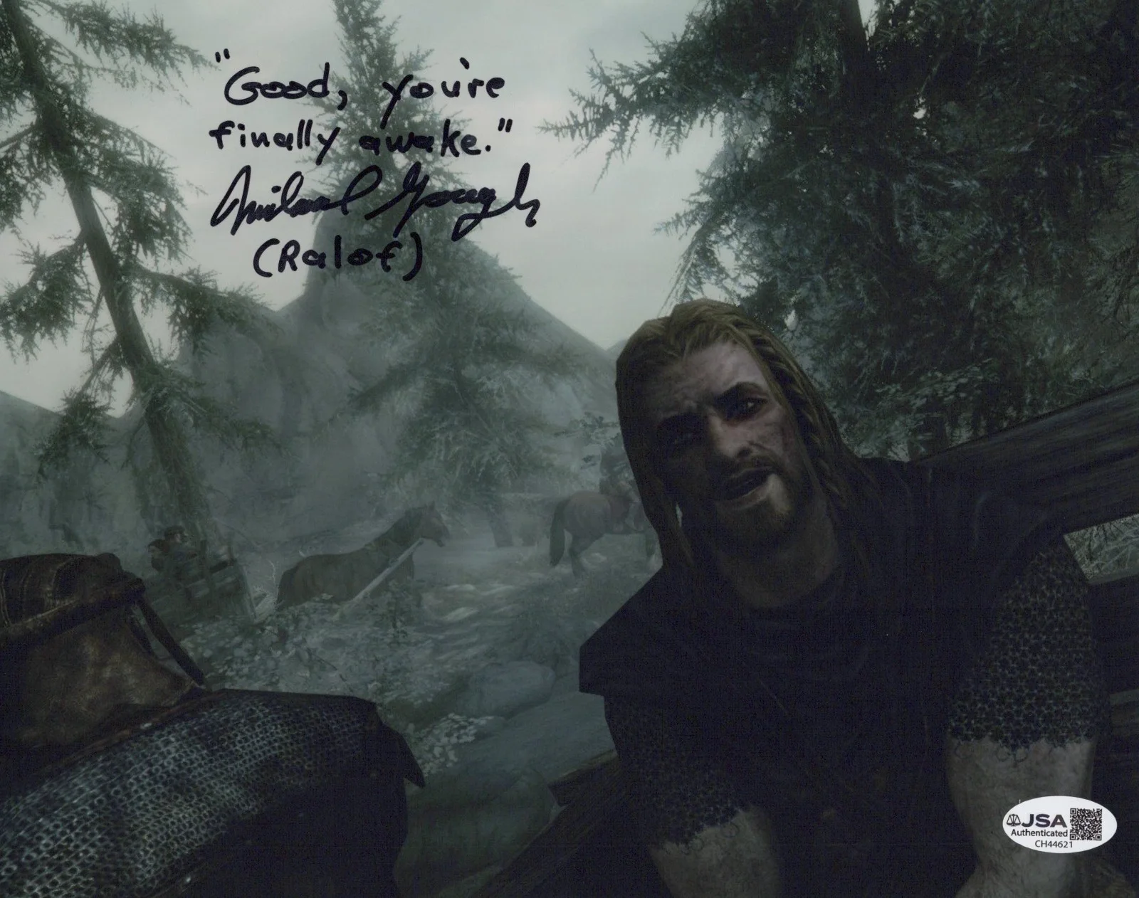 Michael Gough — Michael Gough Signed 8x10 Elder Scrolls Skyrim Finally Awake Meme Photo JSA COA