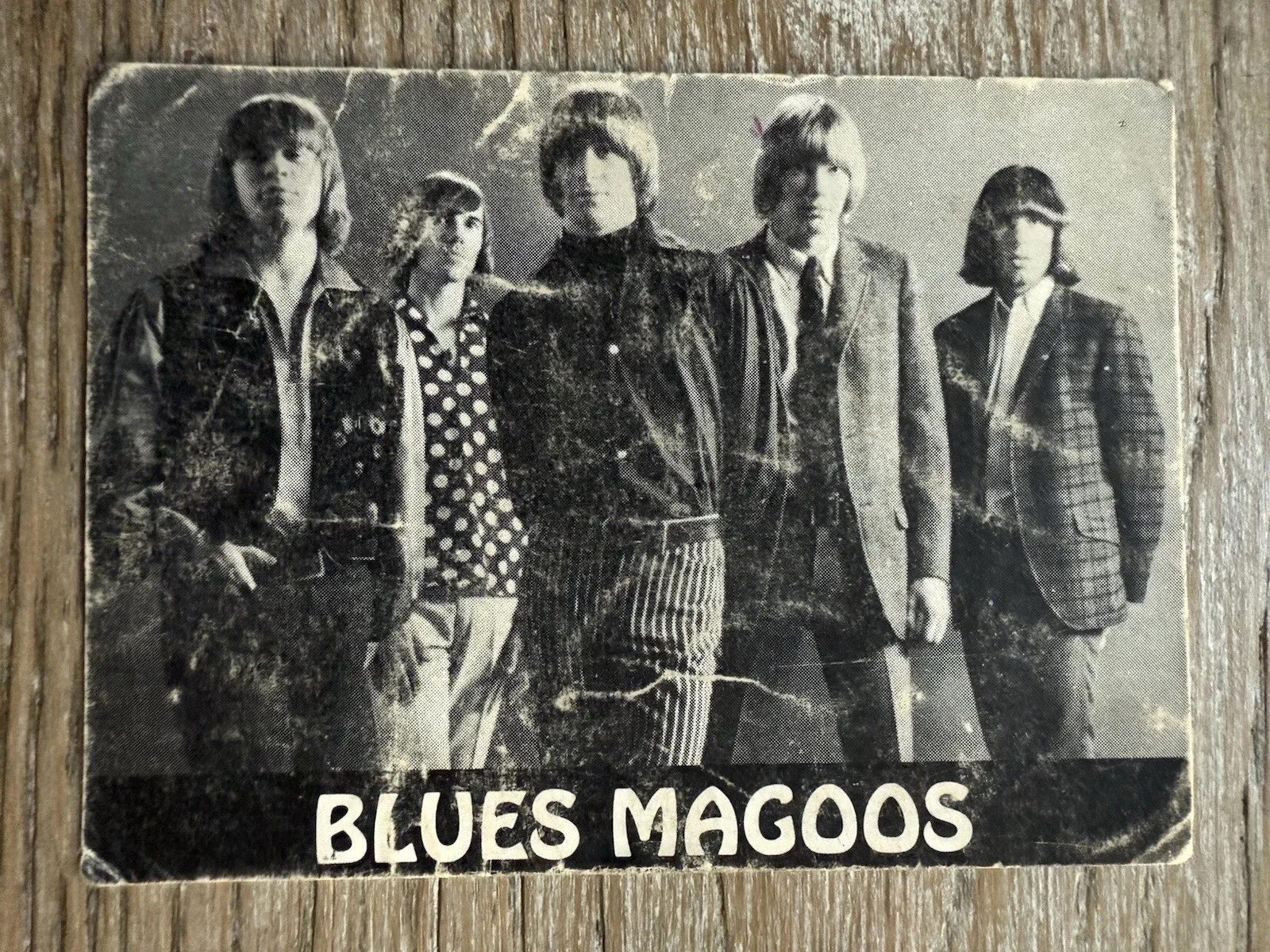 Blues Magoos signed by all 5 fan club card RARE COA, image 2