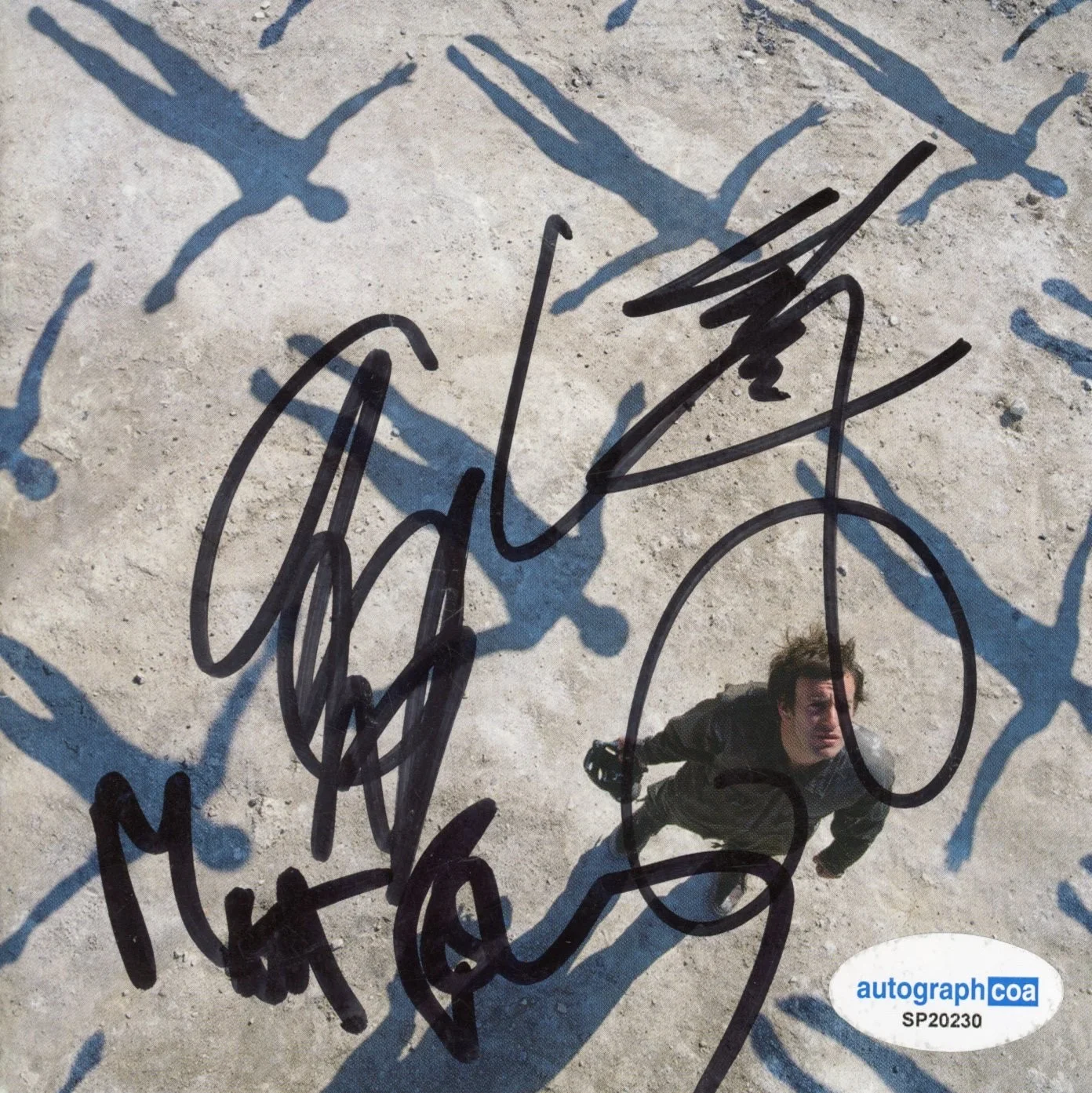 MUSE Band Signed Autograph Absolution CD Cover Framed Matt Bellamy x3 ACOA COA, image 2