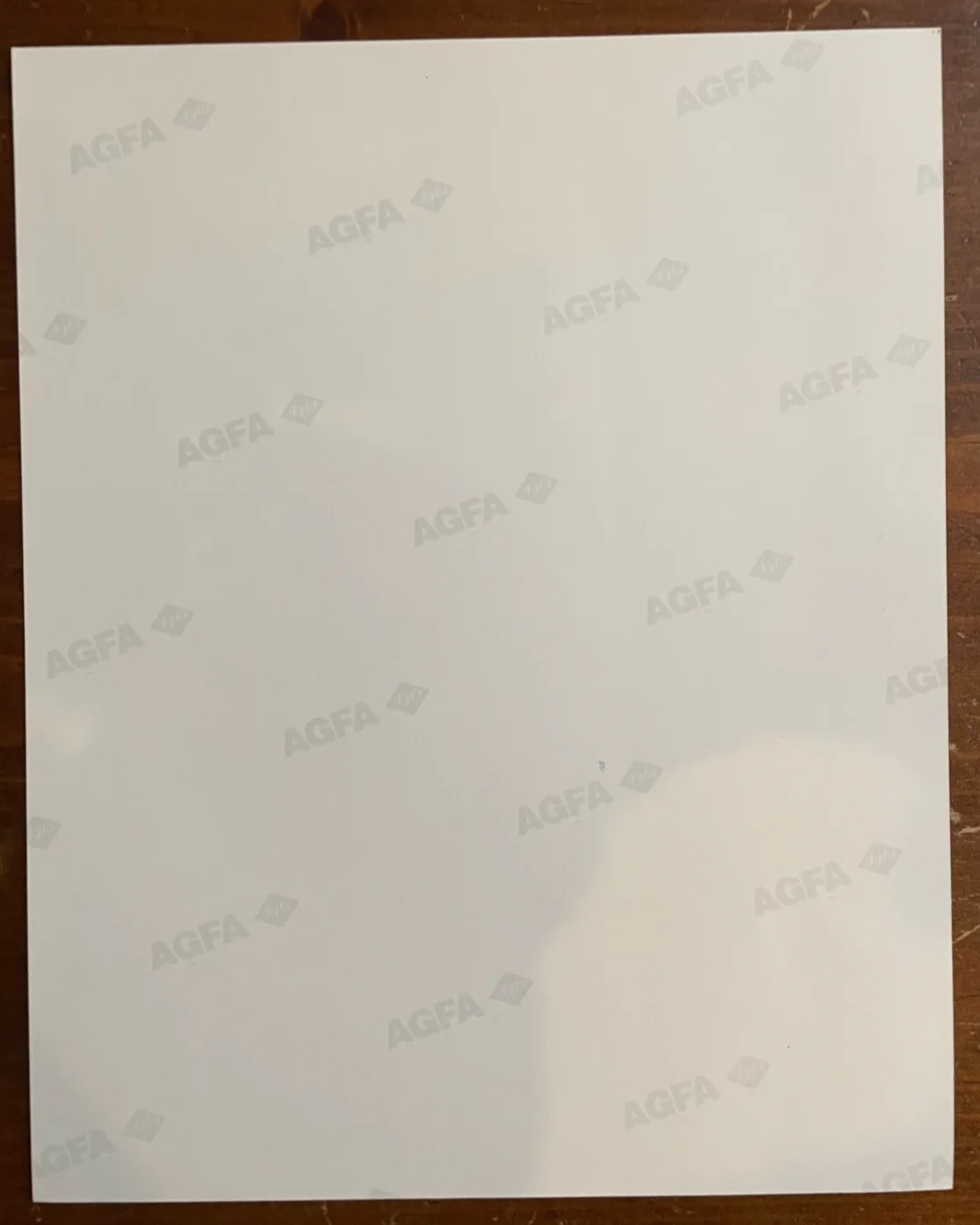 Arija Bareikis — Arija Bareikis Signed Autograph Signature 8x10 Color Glossy Photograph with COA, изображение 3