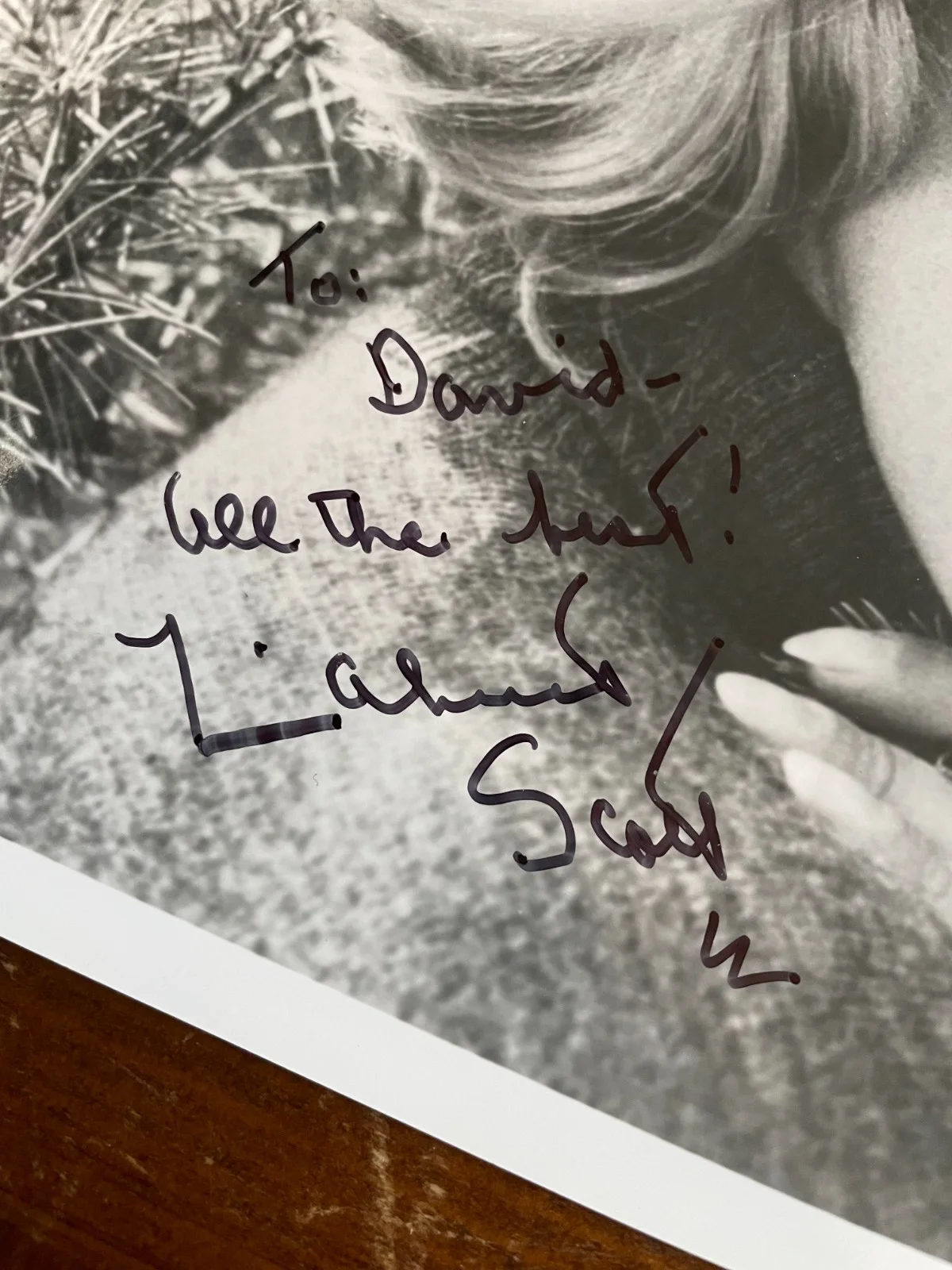 Lizabeth Scott — Lizabeth Scott Signed Autograph Signature 10x8 Glossy Photograph, image 2