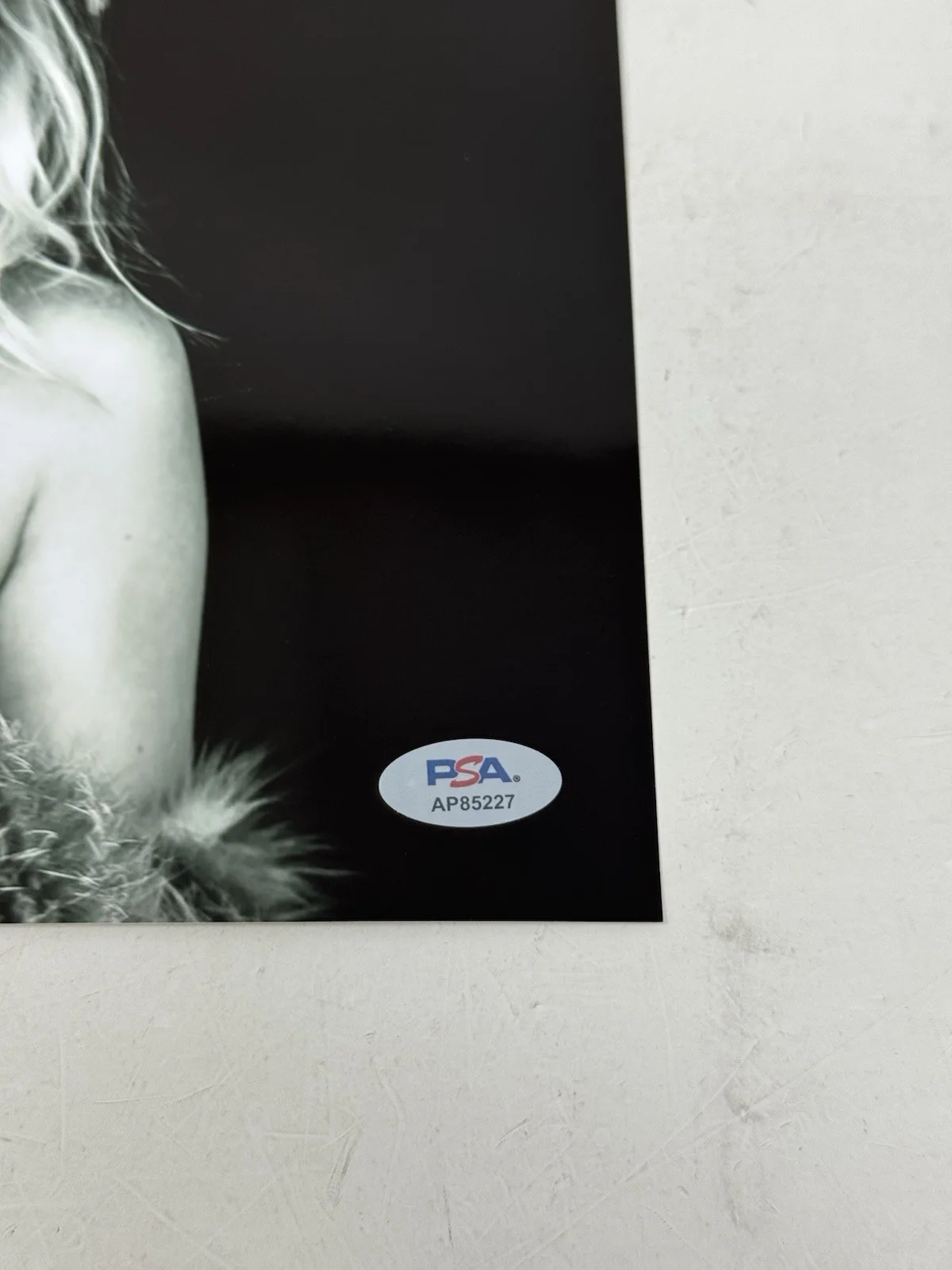 CHANEL WEST COAST SIGNED 8X10 PHOTO COUNTRY SINGER MODEL PSA/DNA COA MTV RARE, изображение 2