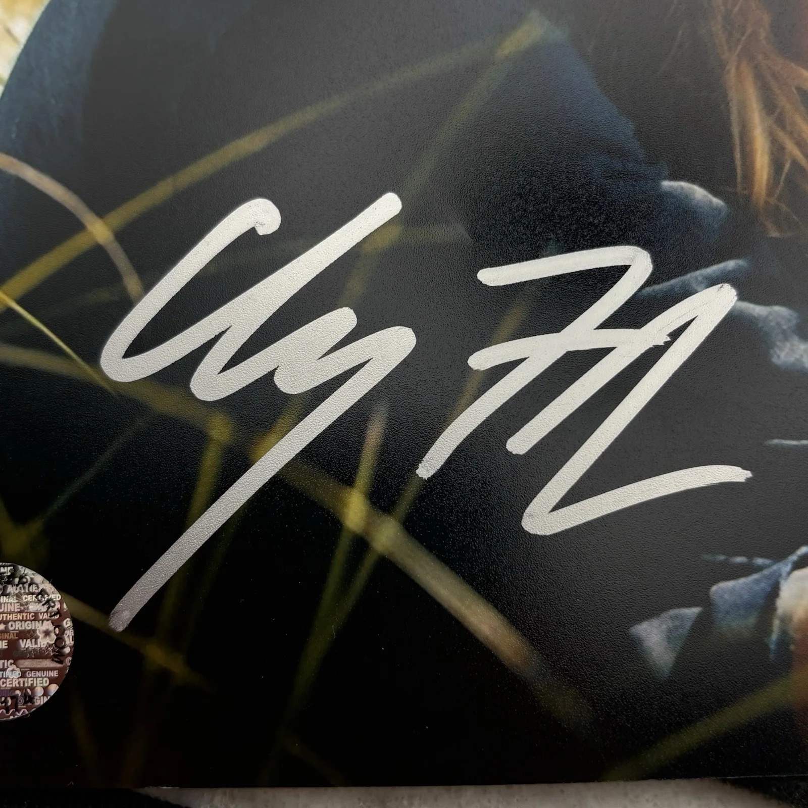 Channing Tatum — Channing Tatum Amanda Seyfried Dear John Signed 8x10 Photo COA, изображение 2