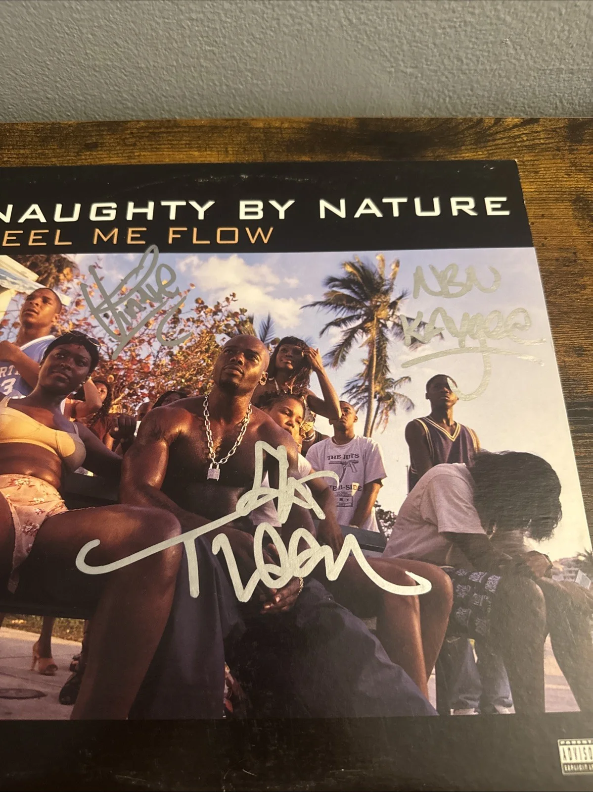 TREACH VIN Rock Kay Gee SIGNED Feel Me Flow VINYL AUTOGRAPHED NAUGHTY BY NATURE, изображение 2