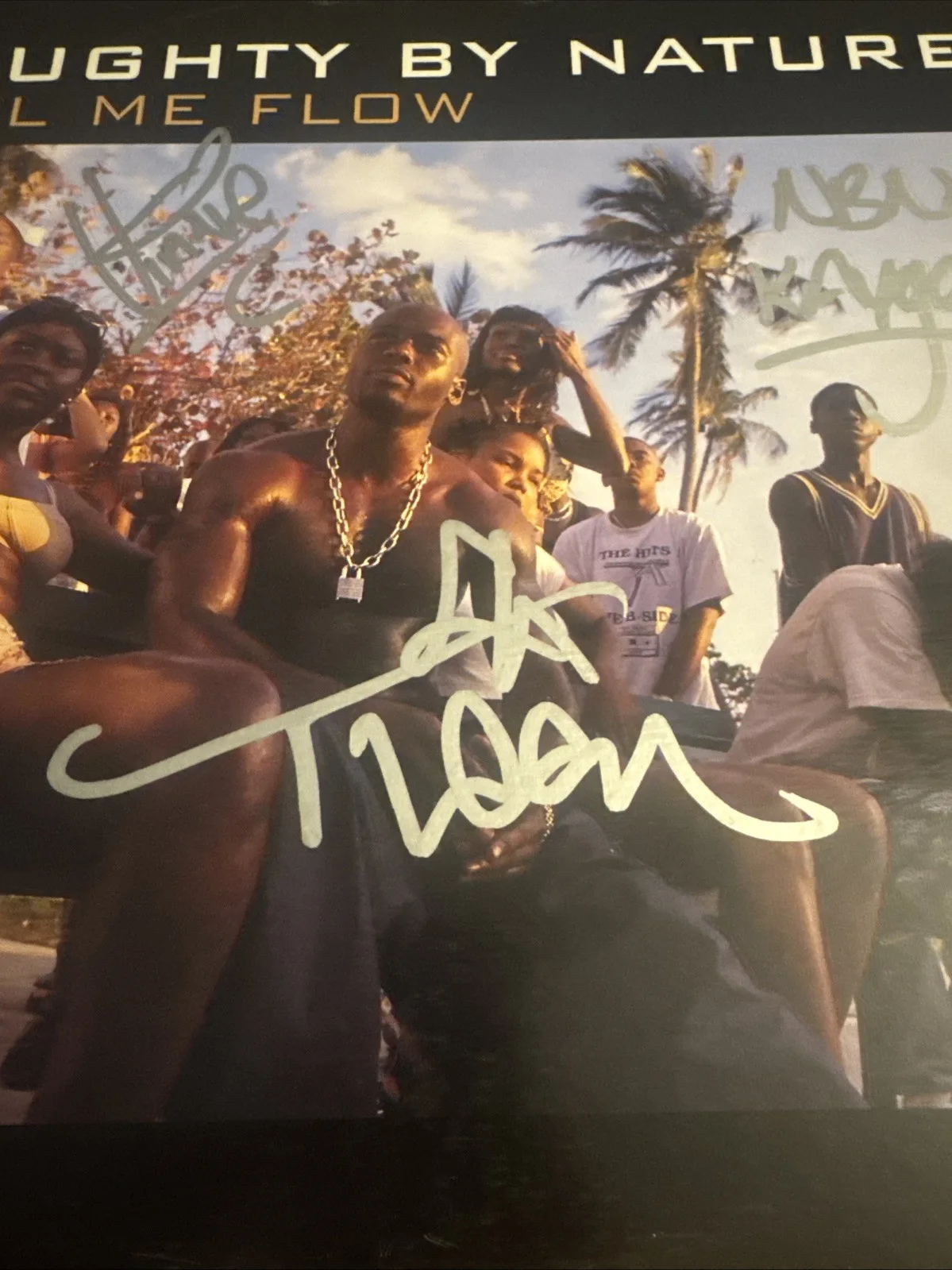 TREACH VIN Rock Kay Gee SIGNED Feel Me Flow VINYL AUTOGRAPHED NAUGHTY BY NATURE, изображение 3
