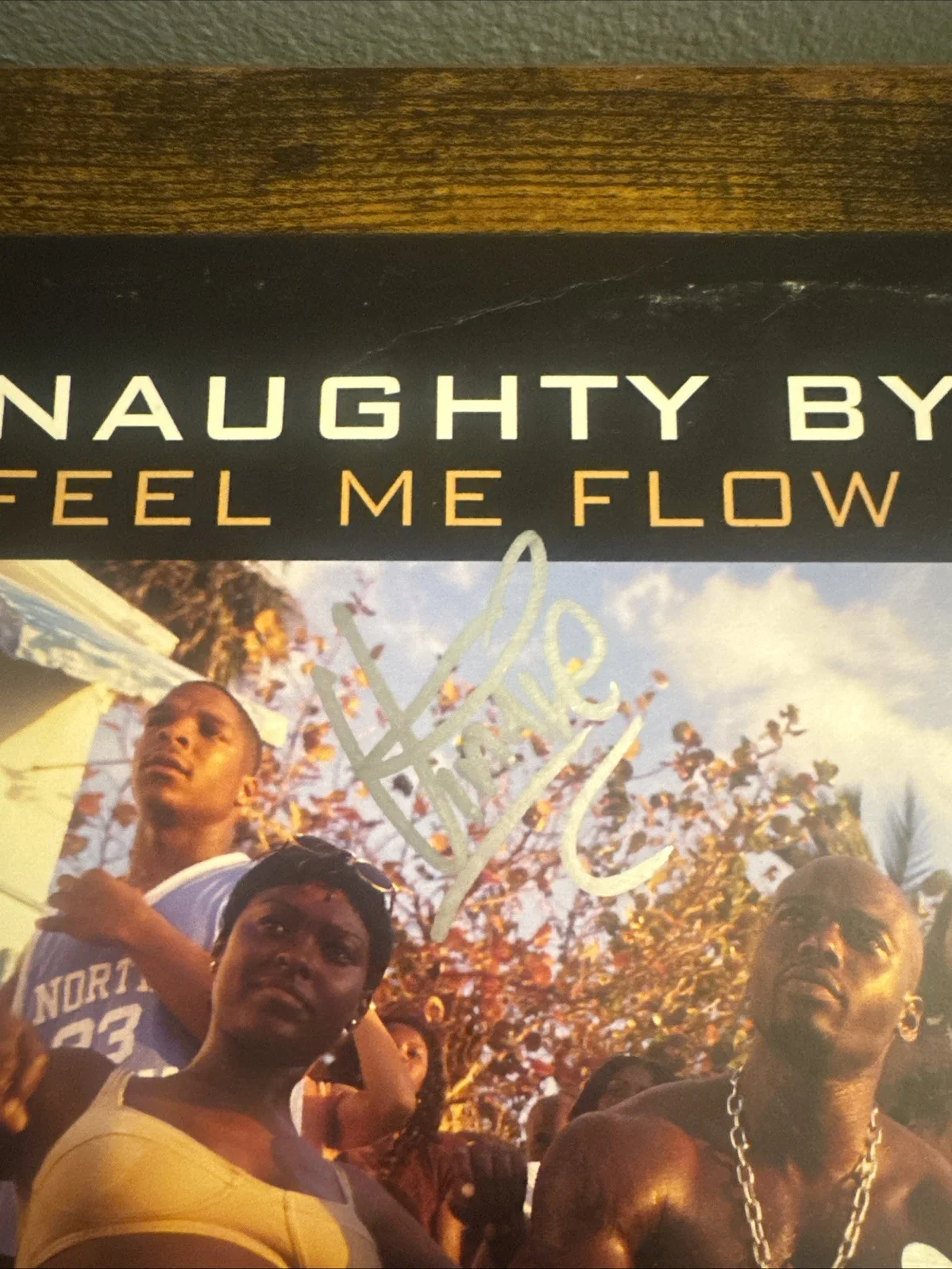 TREACH VIN Rock Kay Gee SIGNED Feel Me Flow VINYL AUTOGRAPHED NAUGHTY BY NATURE, изображение 4