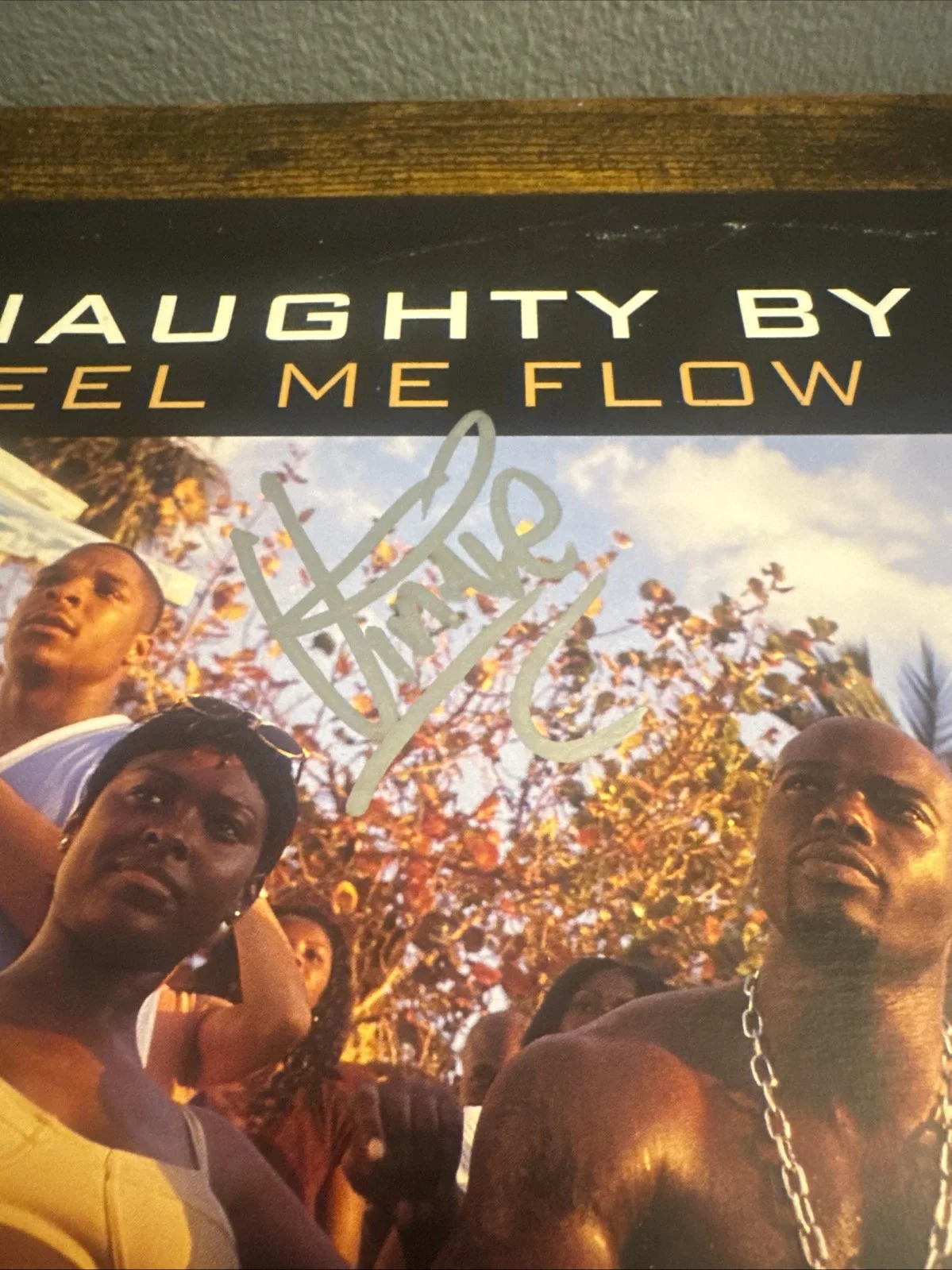 TREACH VIN Rock Kay Gee SIGNED Feel Me Flow VINYL AUTOGRAPHED NAUGHTY BY NATURE, изображение 5