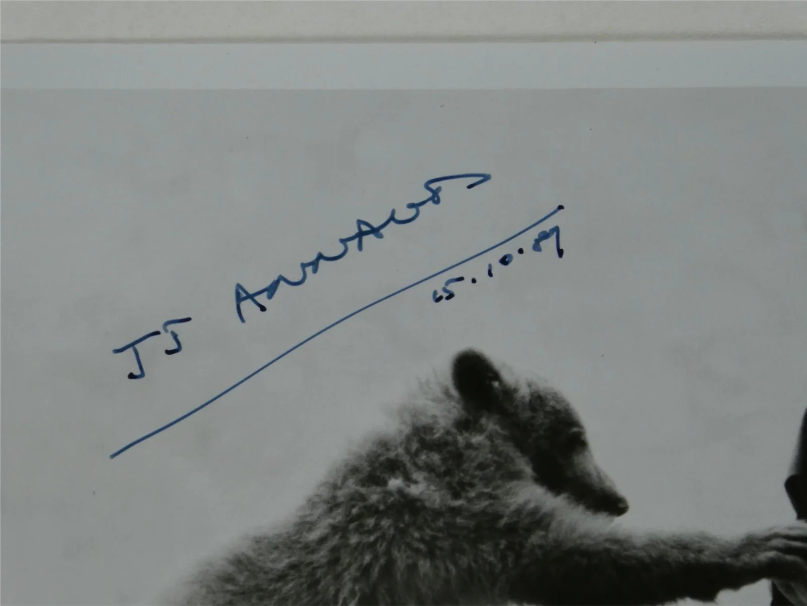 Jean Jacques JJ Annaud — Jean Jacques JJ Annaud Signed B&W 8x10 Promo Photo The Bear Autographed, изображение 2