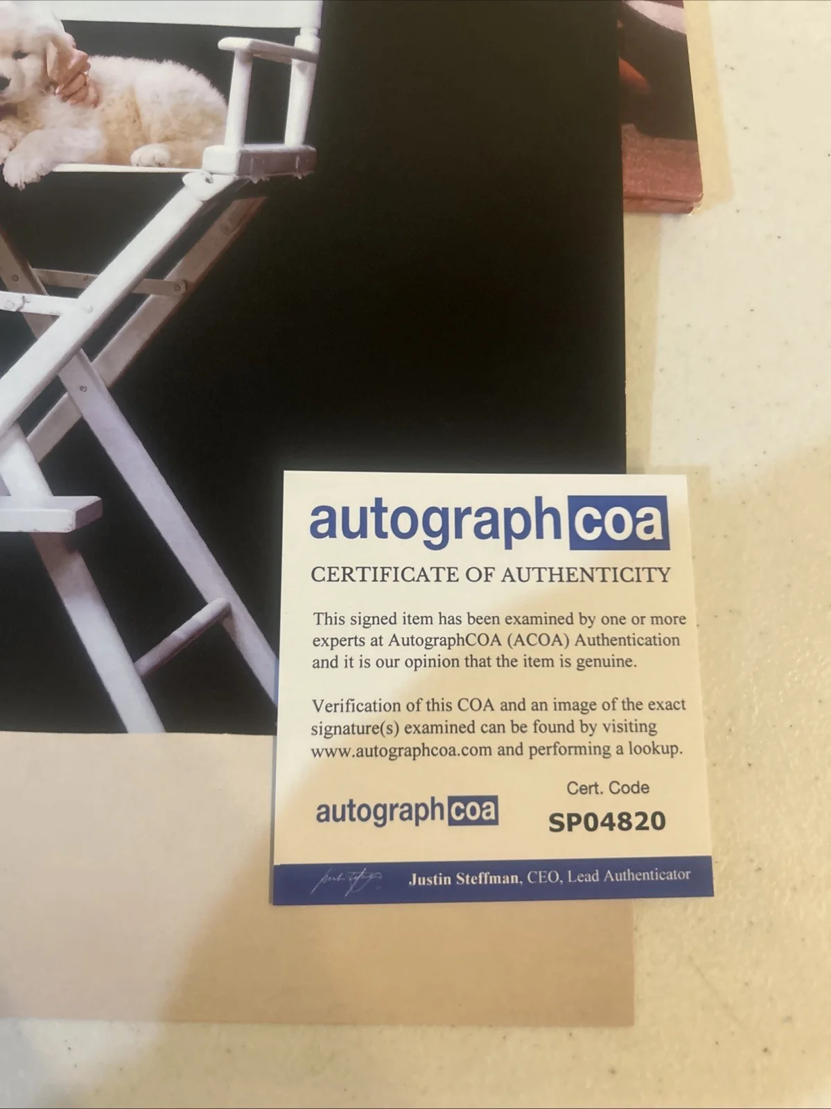 SABRINA CARPENTER SIGNED AUTOGRAPH VINYL ALBUM INSERT ACOA MANS BEST FRIEND LP, изображение 4
