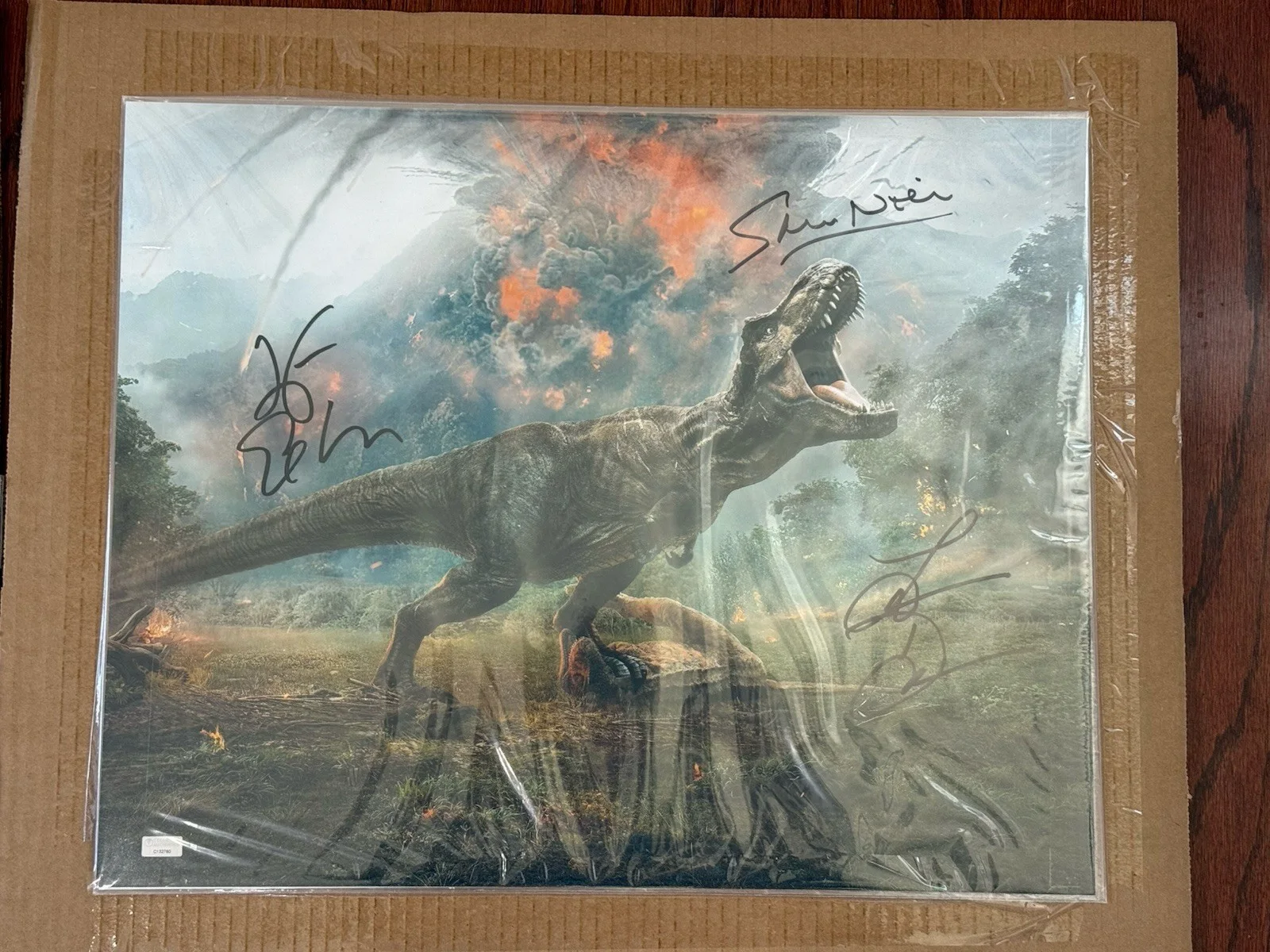 Sam Neill, Laura Dern, Jeff Goldblum — Laura Dern Jeff Goldblum Sam Neill Signed Jurassic World TRex 16x20 Photo CA COA, изображение 3
