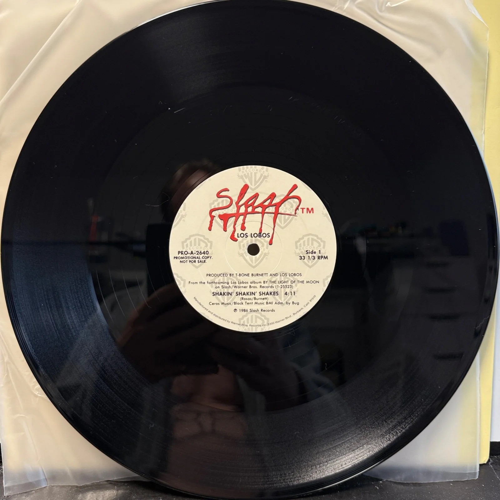 LOS LOBOS "Shakin'" AUTOGRAPHED promotional 12" vinyl SIGNED BY Cesar & Conrad!, image 5