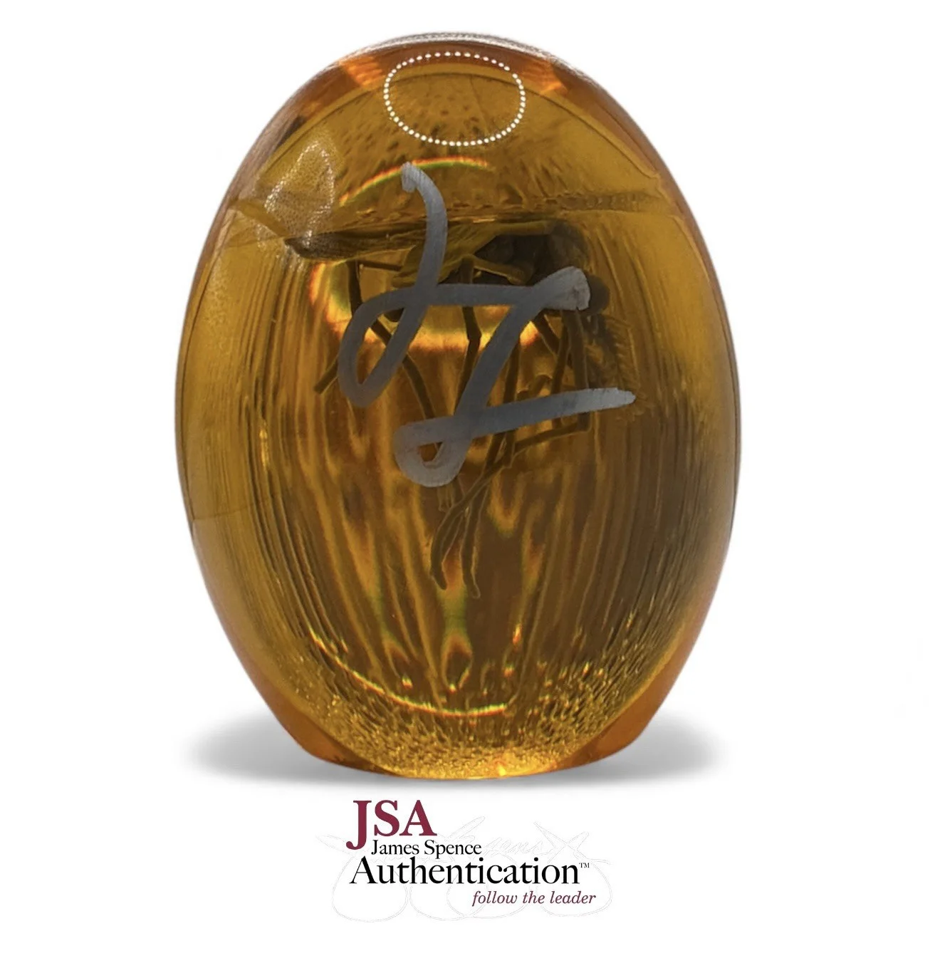 Jeff Goldblum — Jeff Goldblum Signed Jurassic Park Dr. Ian Malcom Mosquito-in-Amber JSA COA