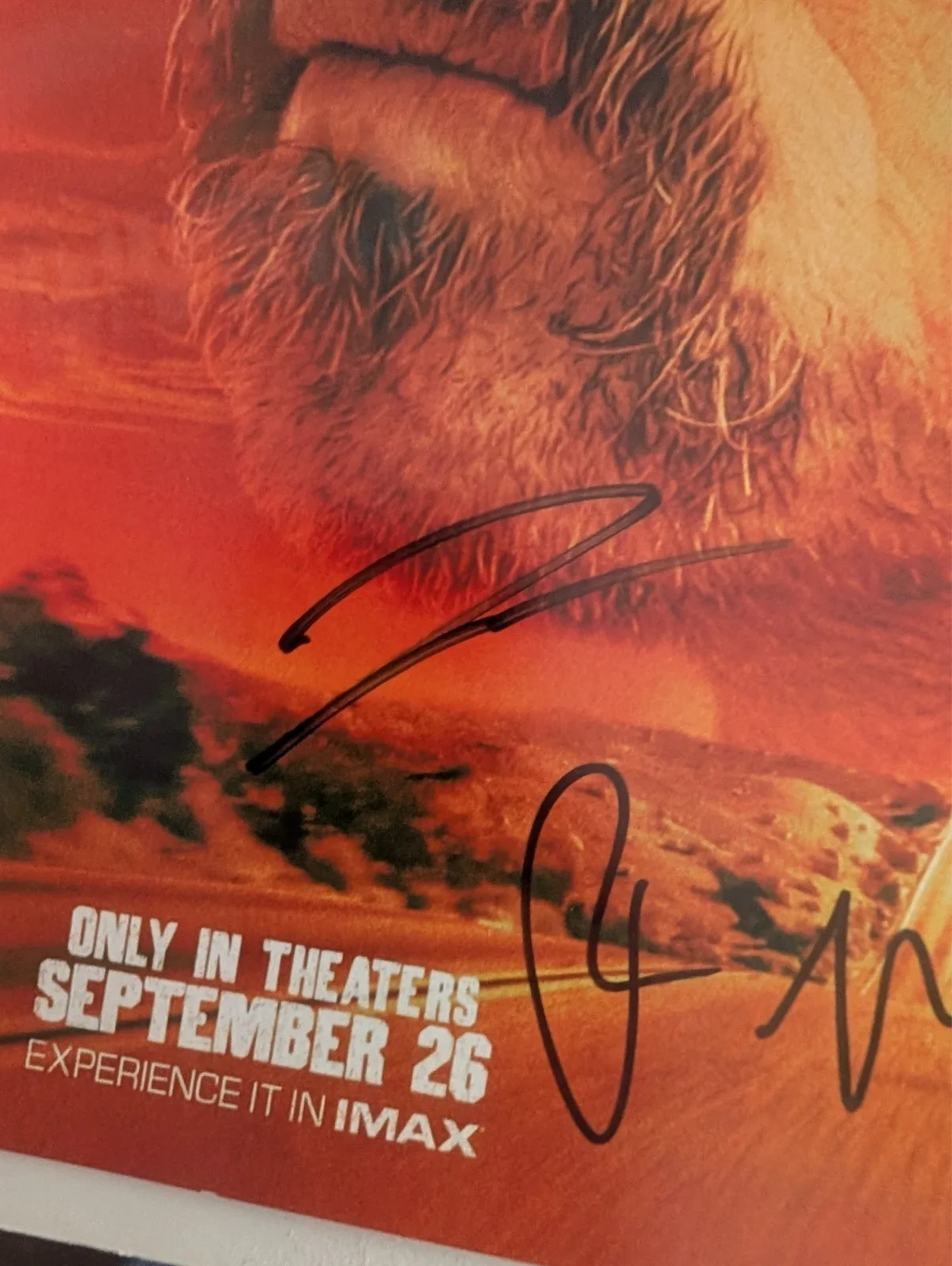 Leonardo DiCaprio Paul Thomas Anderson Benicio Del Toro — LEONARDO DICAPRIO PAUL T ANDERSON +4 signed One Battle After Another 11x17, image 3