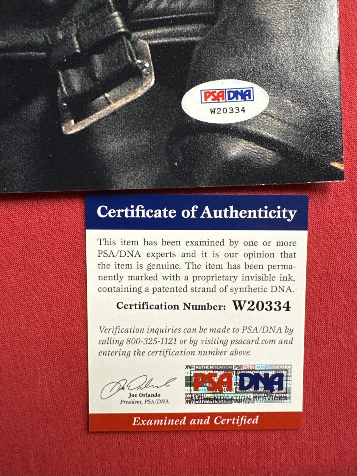 Arnold Schwarzenegger — Arnold Schwarzenegger Terminator 11 X 14 Autograph Psa, image 4