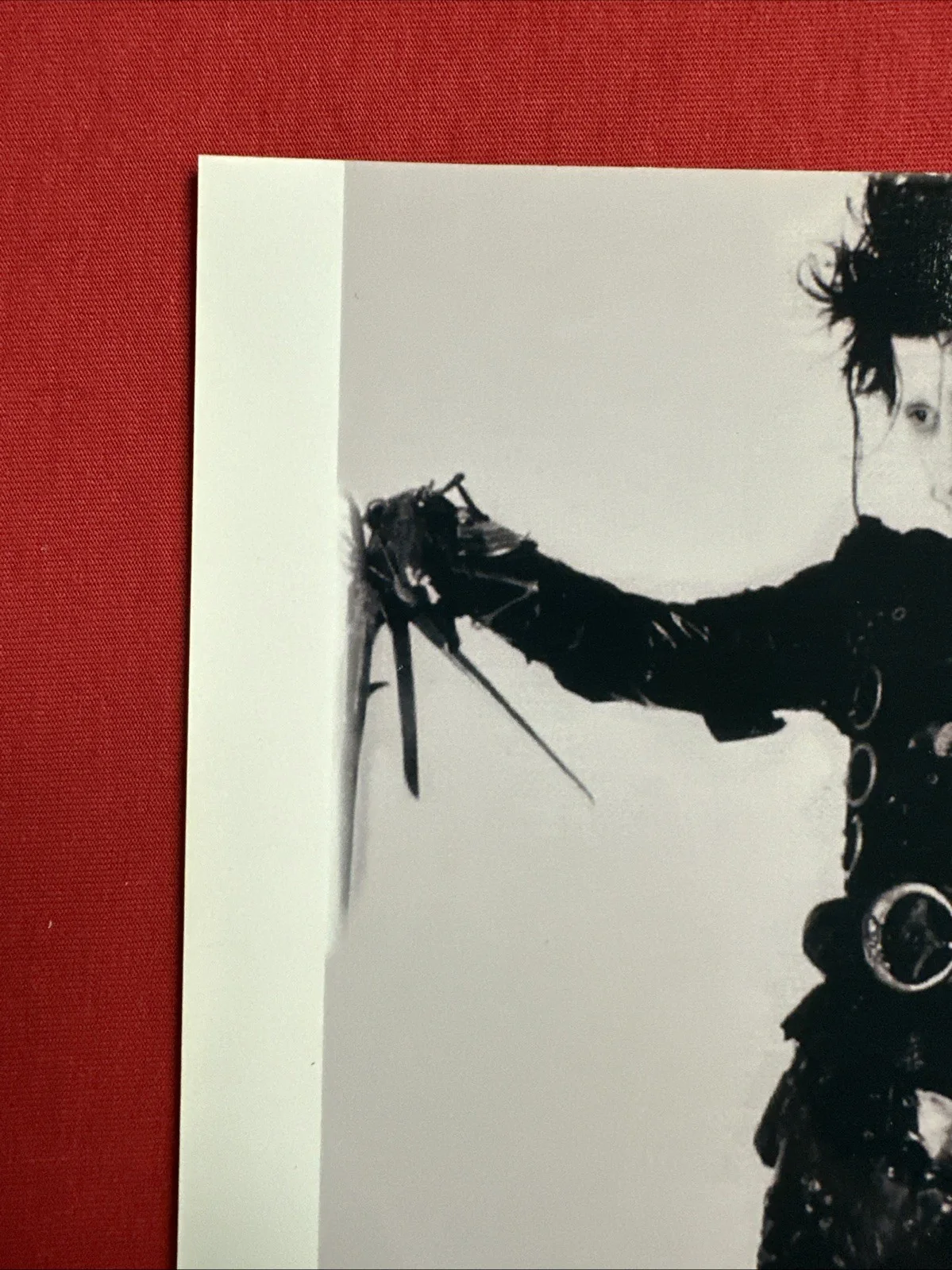 Johnny Depp — Edward Scissorhands Johnny Depp Autograph 8 X 10 PSA, image 5