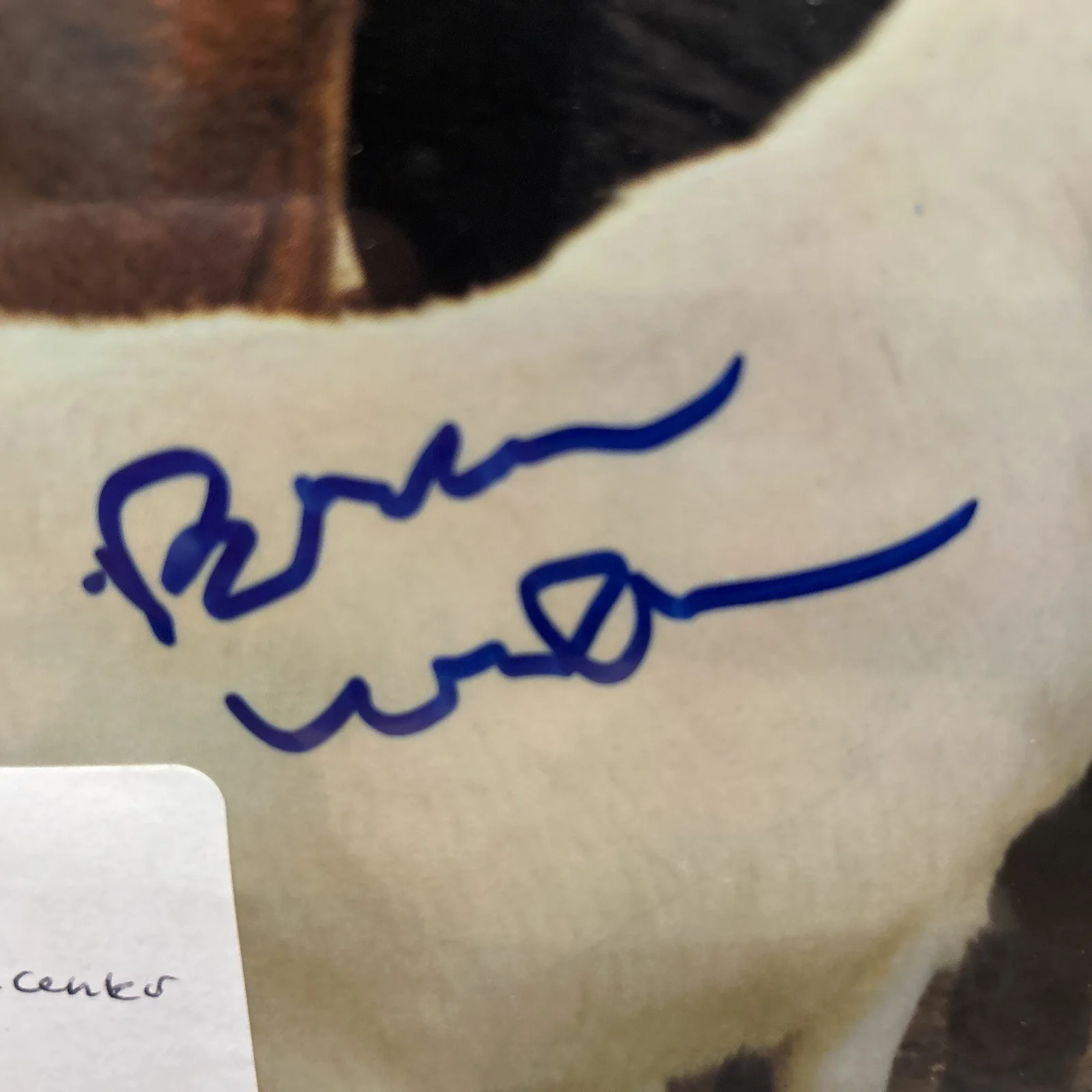 Brian Wilson Signed Album “Pet Sounds “180 Gram Vinyl, изображение 2