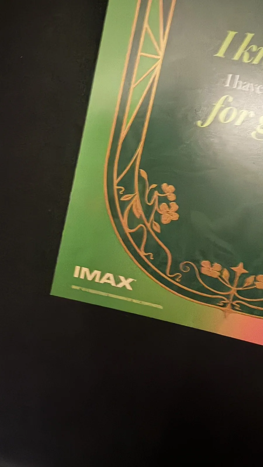 Wicked: For Good - IMAX Odeon UK Limited Edition Photo Book NEW, изображение 4