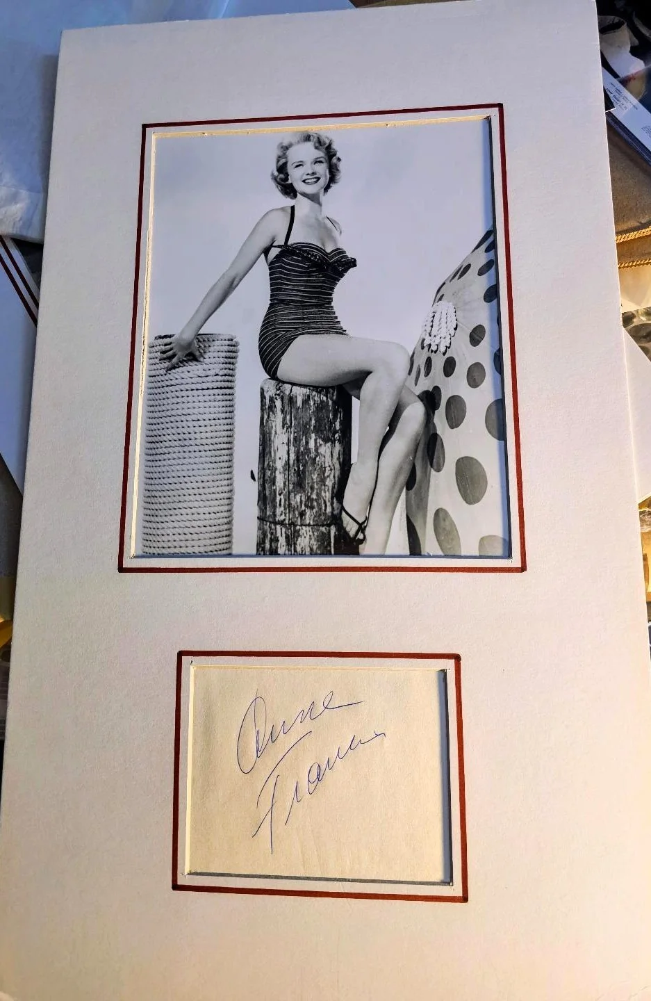 ANNE FRANCIS — ANNE FRANCIS signature card with photo MATTED 12x20 FORBIDDEN PLANET w. COA, изображение 5