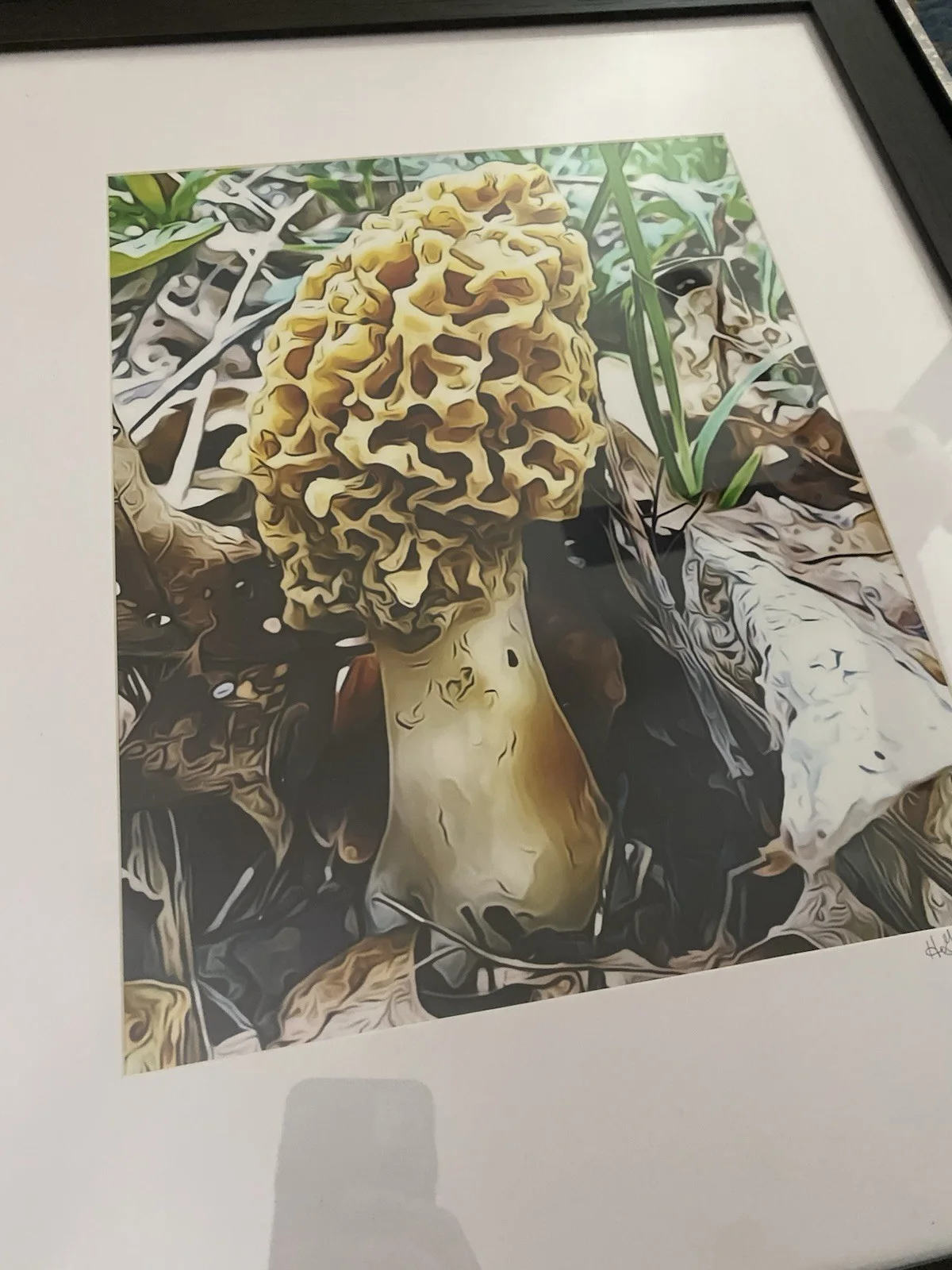 Morel Mushroom Large Framed Photograph 19x23” Signed Wall Art Wild Mushroom, image 2
