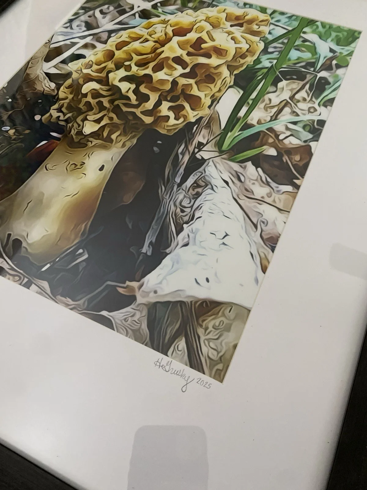 Morel Mushroom Large Framed Photograph 19x23” Signed Wall Art Wild Mushroom, image 3