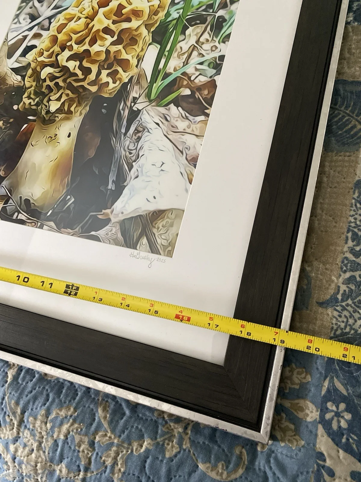 Morel Mushroom Large Framed Photograph 19x23” Signed Wall Art Wild Mushroom, image 5