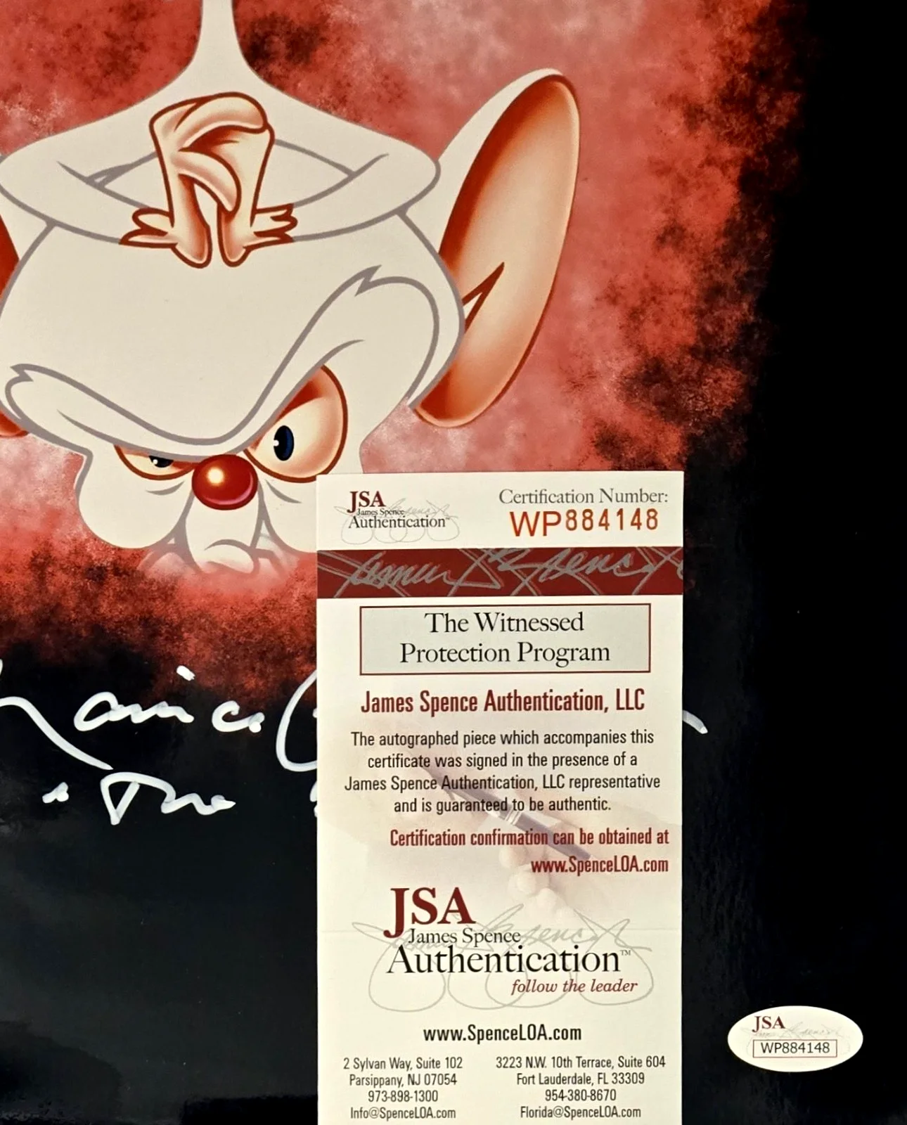 ROB PAULSEN, MAURICE LAMARCHE — Pinky and the Brain Signed Photo Animaniacs Rob Paulsen Maurice LaMarche JSA 148, image 2