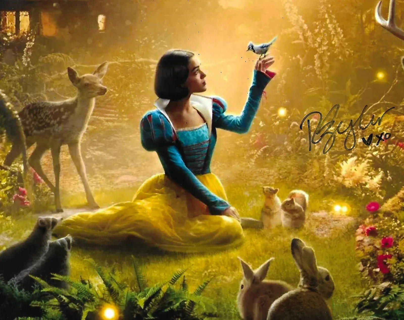 Rachel Zegler — Rachel Zegler autographed 8x10 photo Snow White Movies Actor RARE COA LOOK!