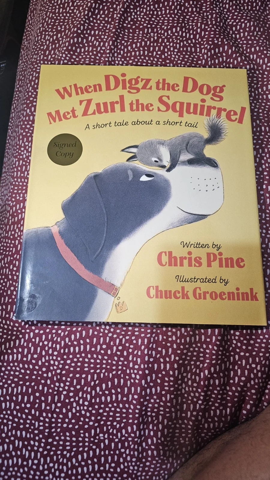 Chris Pine — Chris Pine SIGNED Book When Digz The Dog Met Zurl The Squirrel AUTO, изображение 2