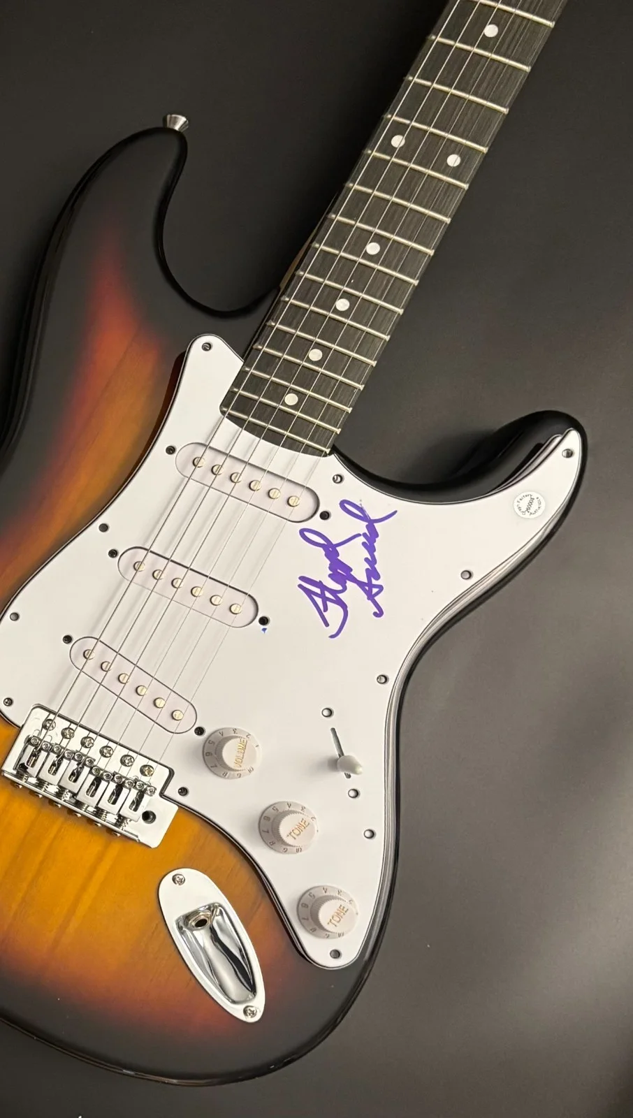GFA Three Dog Night Band * FLOYD SNEED * Signed Electric Guitar AD1 COA, image 3