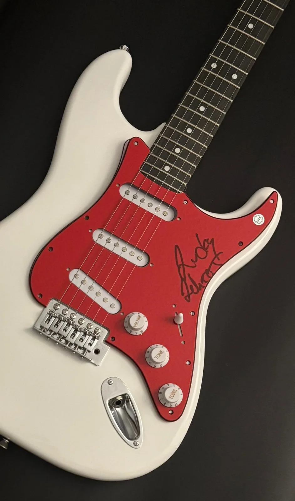 GFA Circle Jerks Drummer * LUCKY LEHRER * Signed Electric Guitar AD1 COA, image 5
