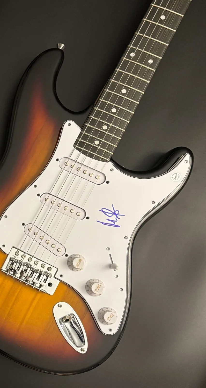 GFA Suicidal Tendencies * MIKE MUIR * Signed Electric Guitar PROOF M8 COA, image 5