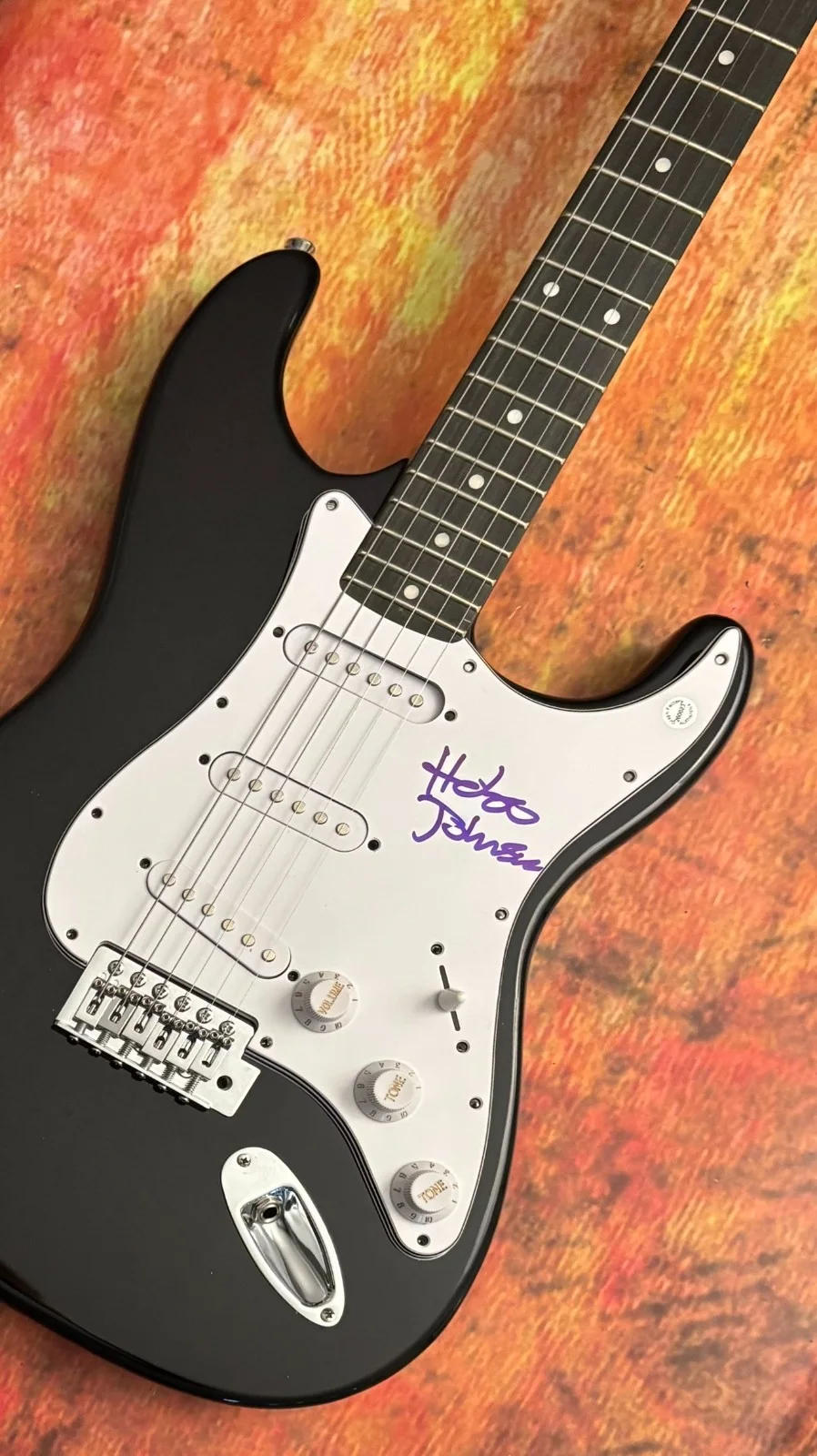 GFA The Fall and Rise of * HOBO JOHNSON * Signed Electric Guitar PROOF H7 COA, изображение 5