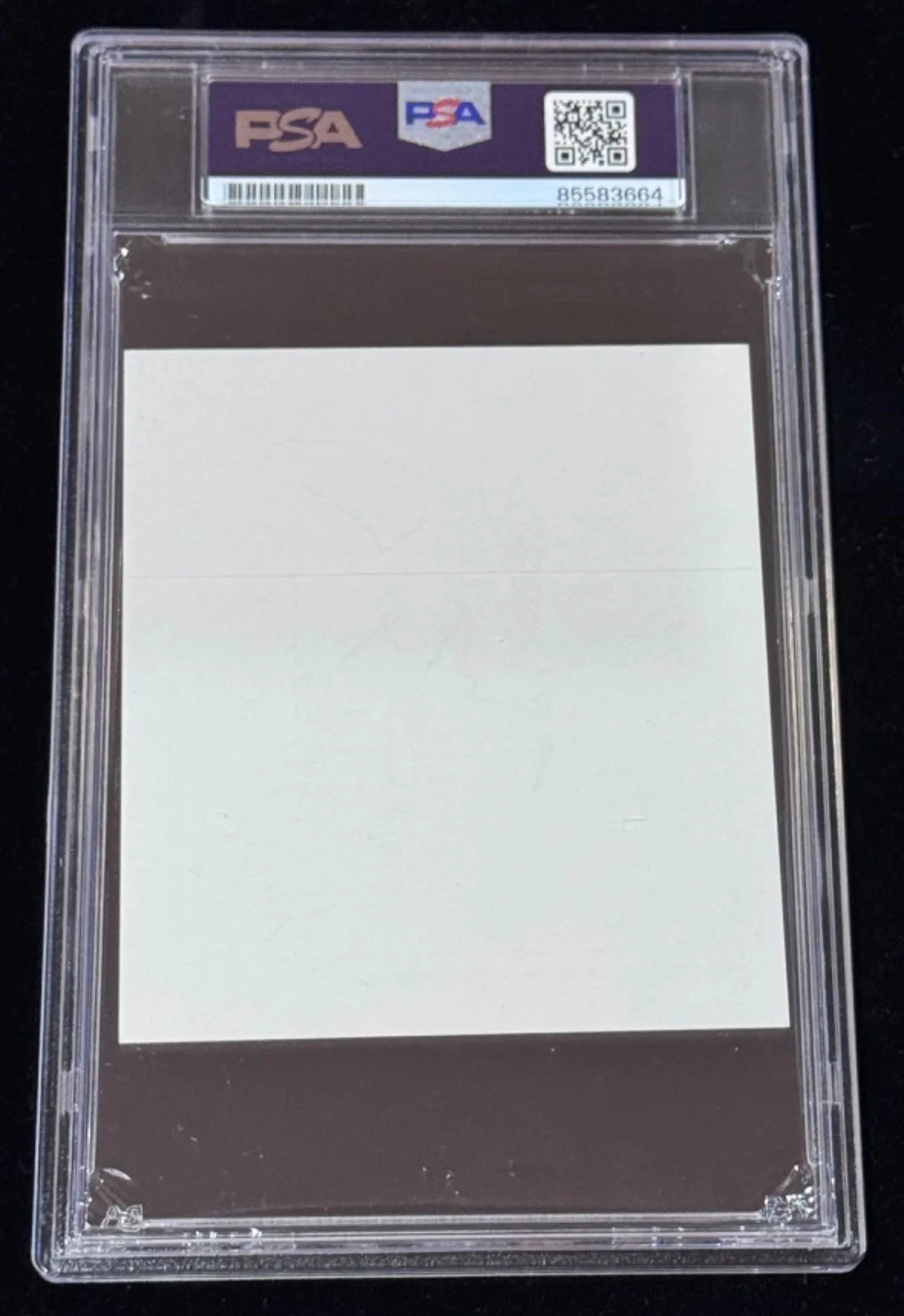Gregory Maguire — Signed Gregory Maguire Wicked bookplate FULL Witch Hat Sketch ART Auto PSA 10, image 5