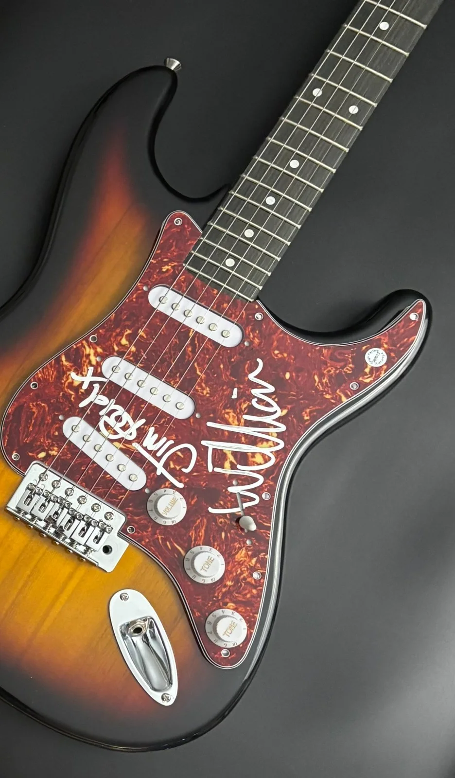 GFA William & Jim Reid * THE JESUS AND MARY CHAIN * Signed Electric Guitar COA, изображение 5
