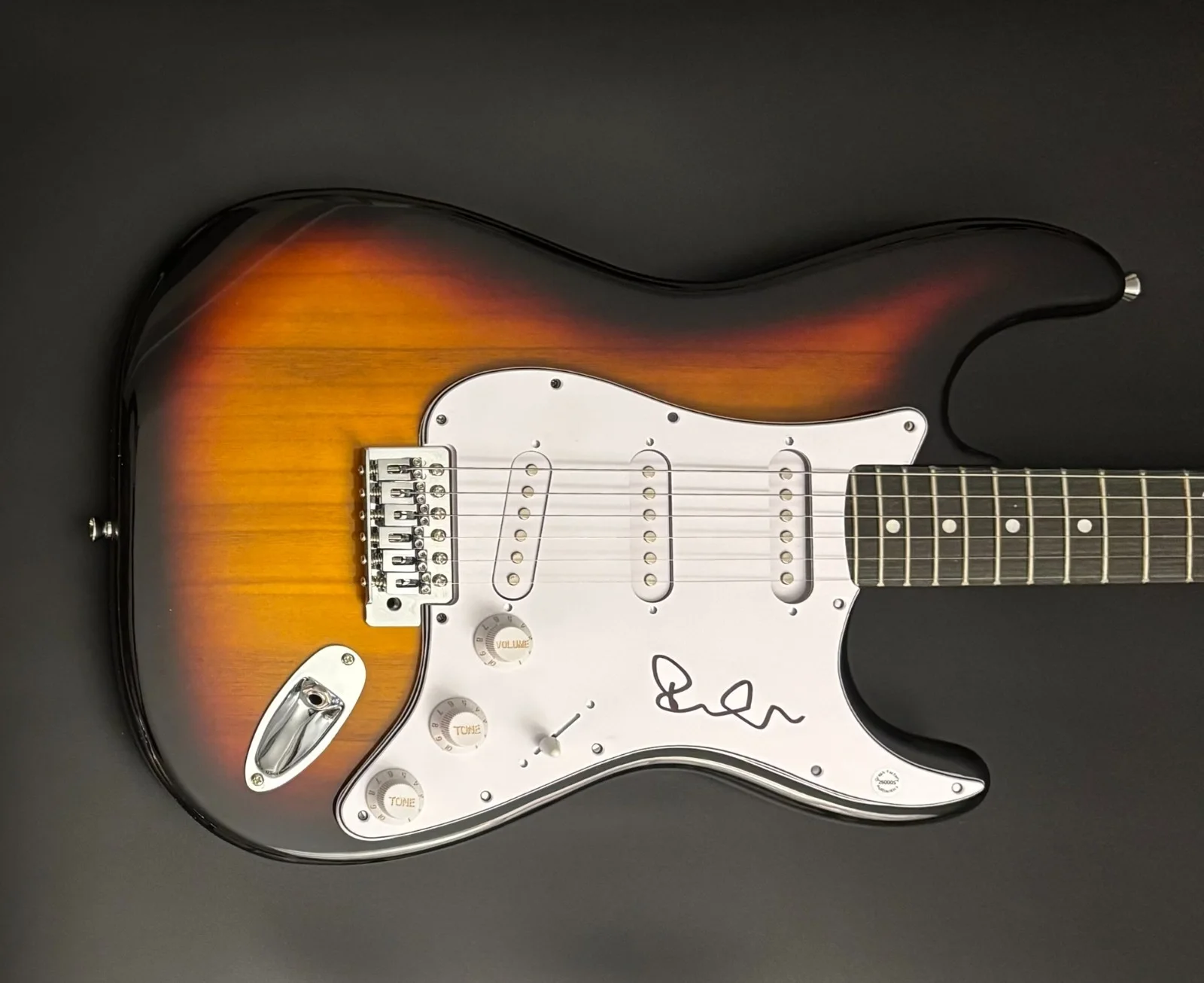 GFA Ryan O'Neal Singer * SLEEPING AT LAST * Signed Electric Guitar PROOF COA, image 2