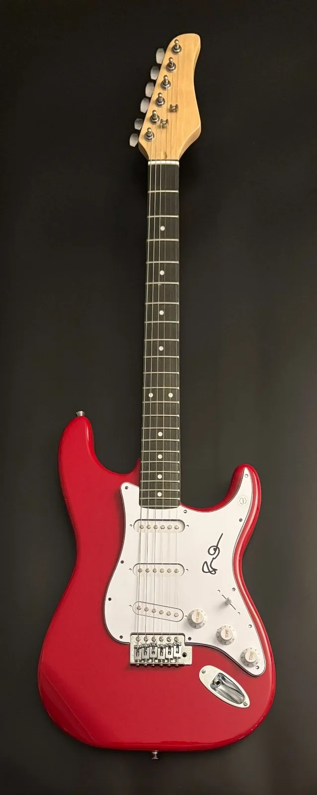 GFA Ryan O'Neal Singer * SLEEPING AT LAST * Signed Electric Guitar PROOF COA, image 2