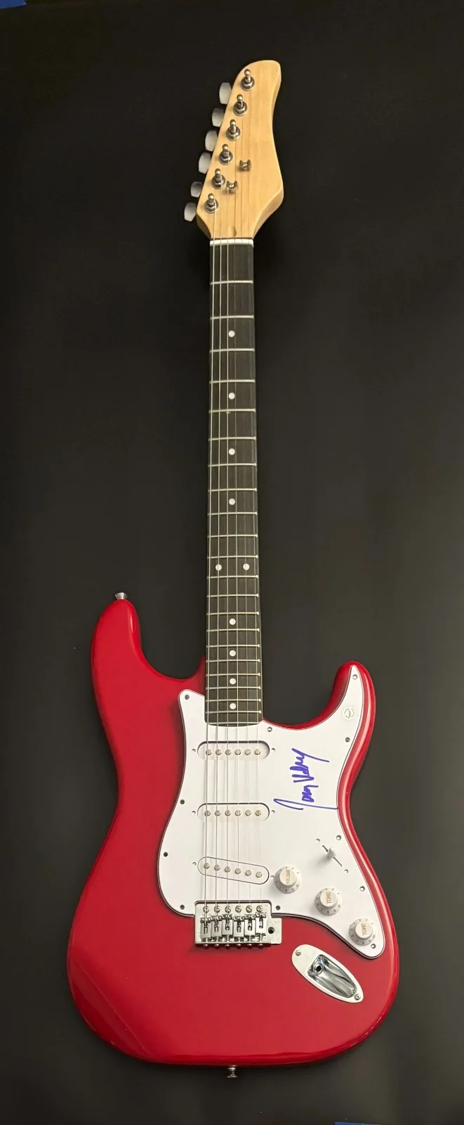 GFA Pressure & Until Morning Star * JAMES VICKERY * Signed Electric Guitar COA, image 2