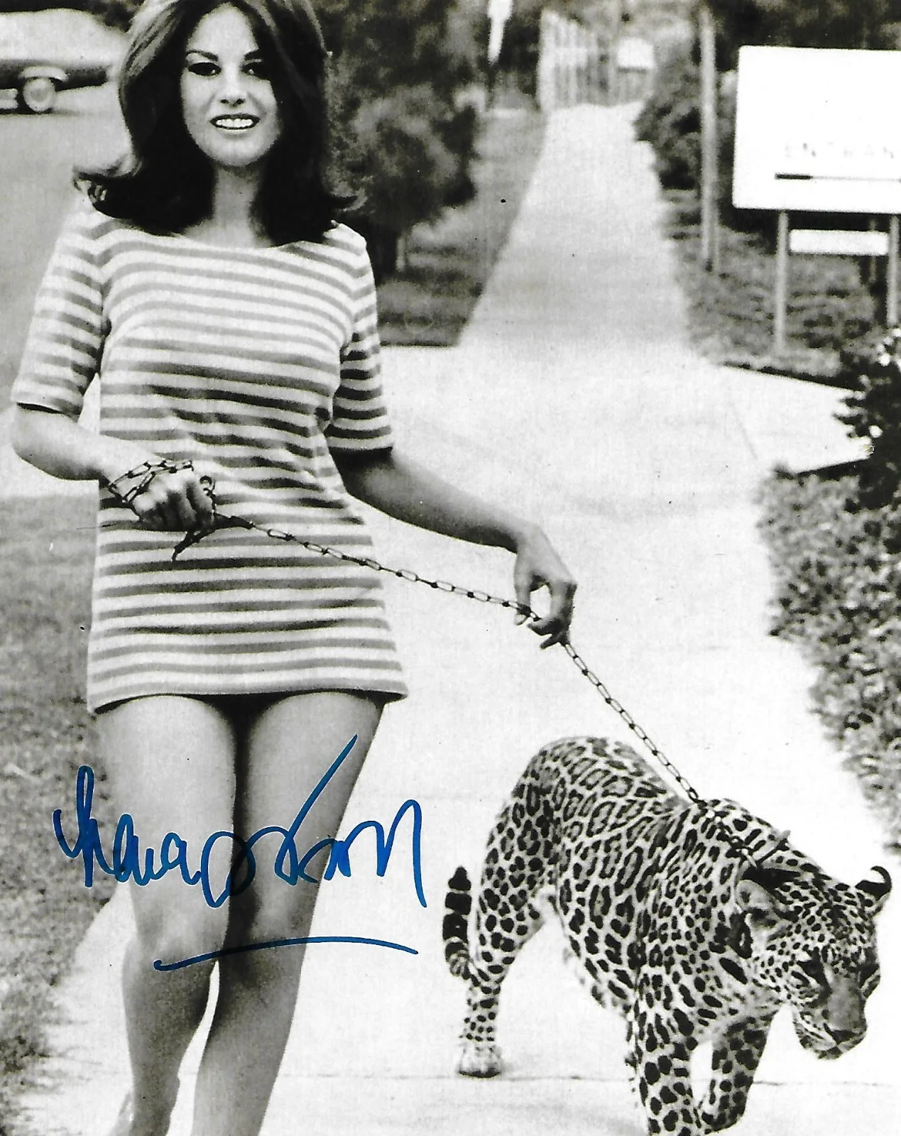 Lana Wood — Lana Wood signed 8x10 photo Diamonds Are Forever Actor RARE COA LOOK!