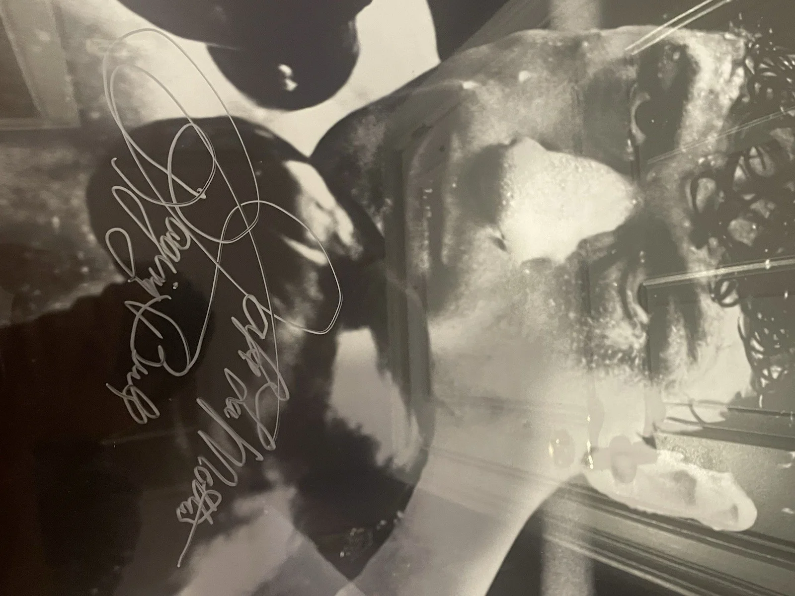 STEINER SPORTS: SIGNED JAKE LAMOTTA RAGING BULL MOVIE POSTER 24X33, изображение 3