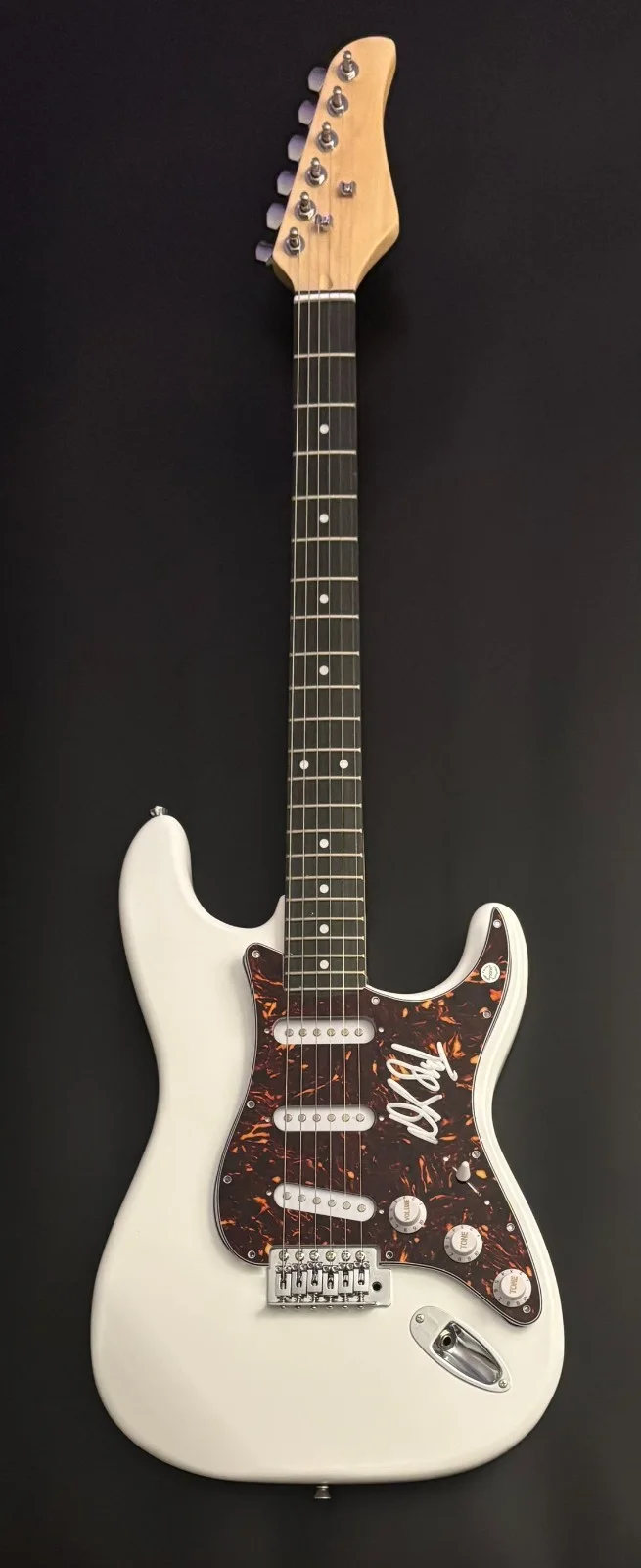 GFA Spinal Tap Harry Shearer * DEREK SMALLS * Signed Electric Guitar PROOF COA, изображение 4