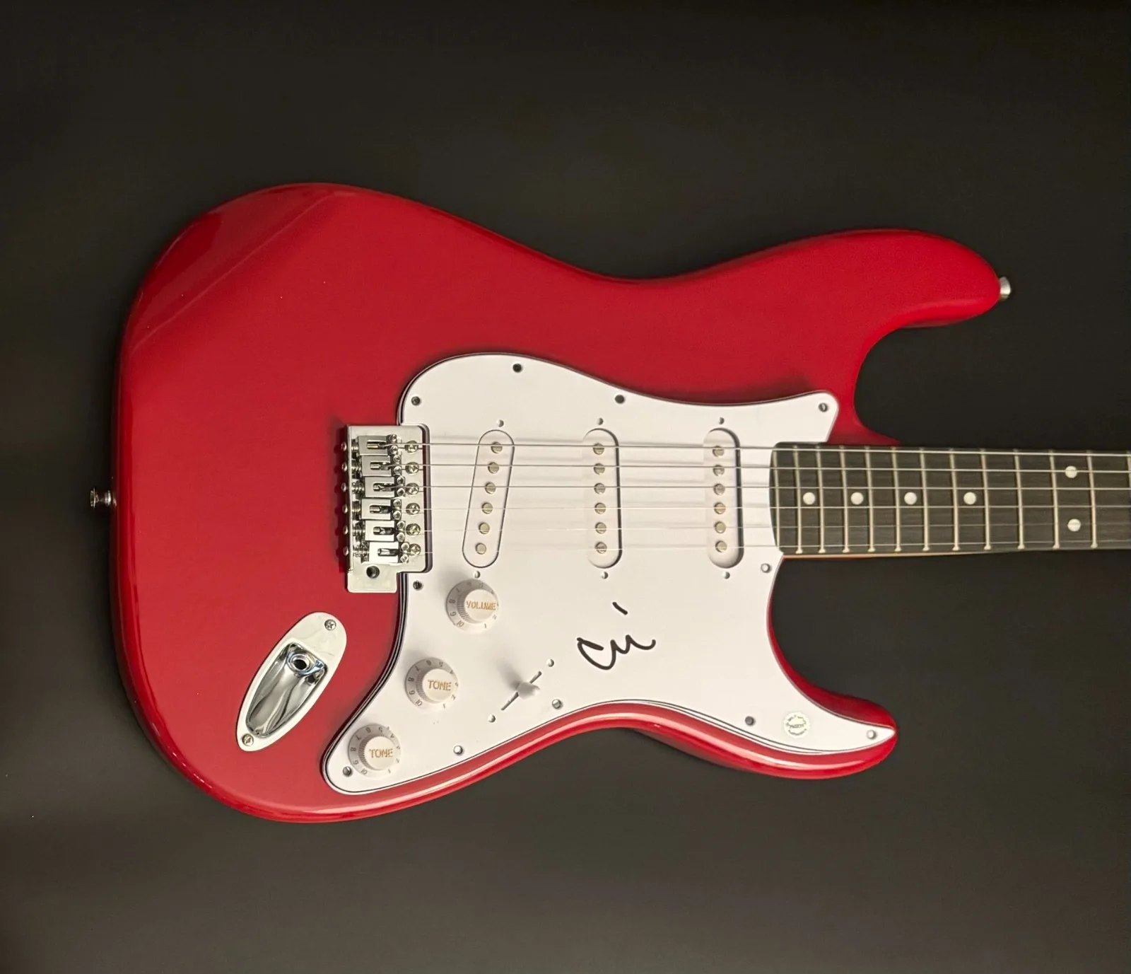 GFA Gorilla Biscuits Band * ANTHONY CIV CIVARELLI * Signed Electric Guitar COA, image 4