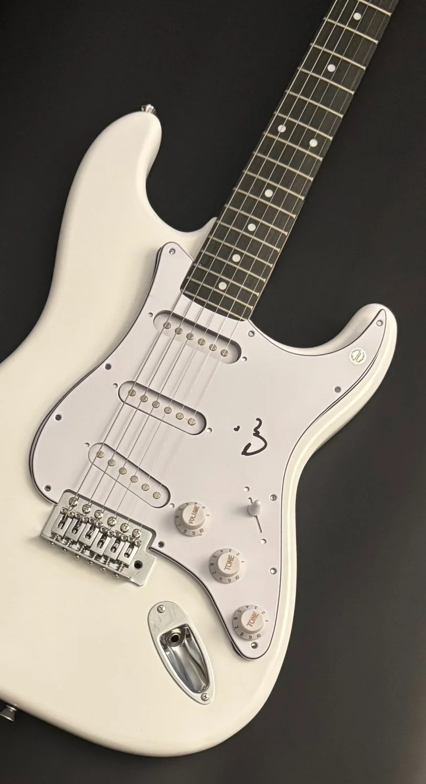GFA Gorilla Biscuits Band * ANTHONY CIV CIVARELLI * Signed Electric Guitar COA, image 2