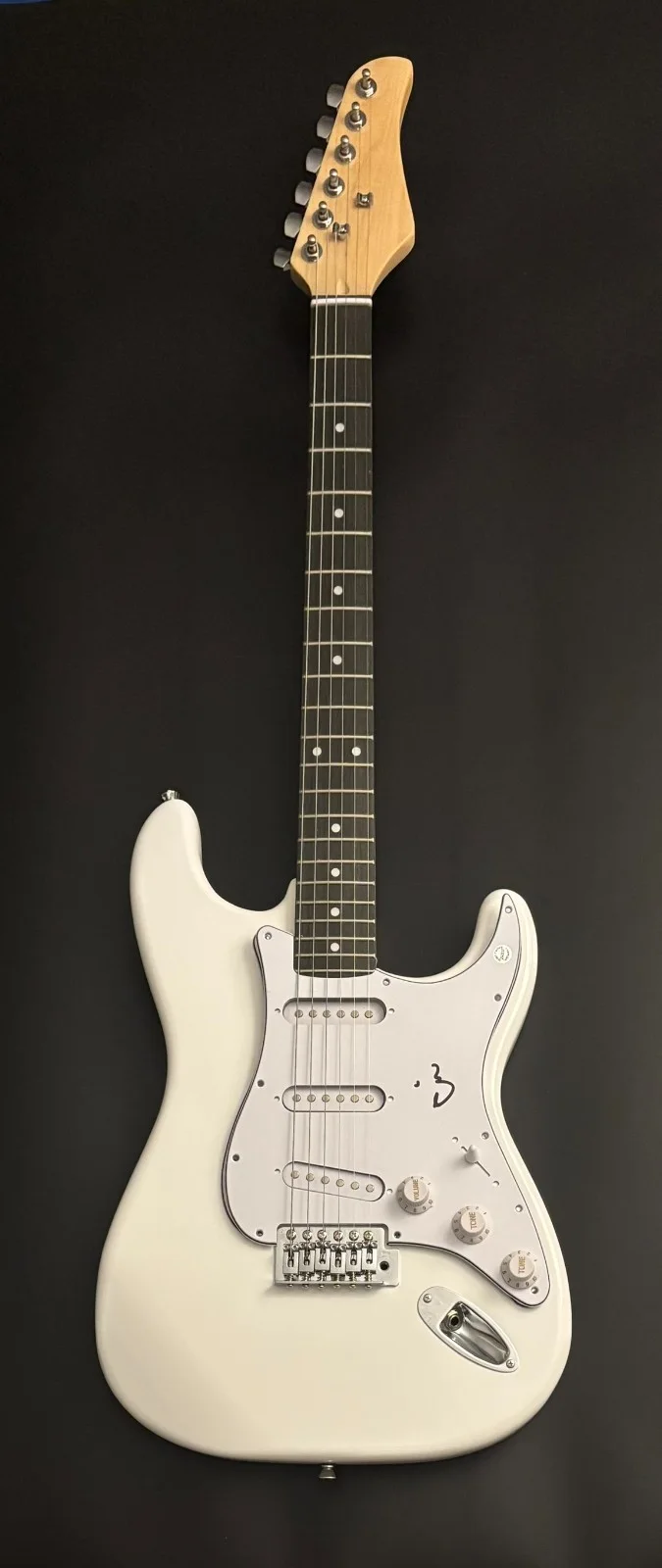 GFA Gorilla Biscuits Band * ANTHONY CIV CIVARELLI * Signed Electric Guitar COA, image 3