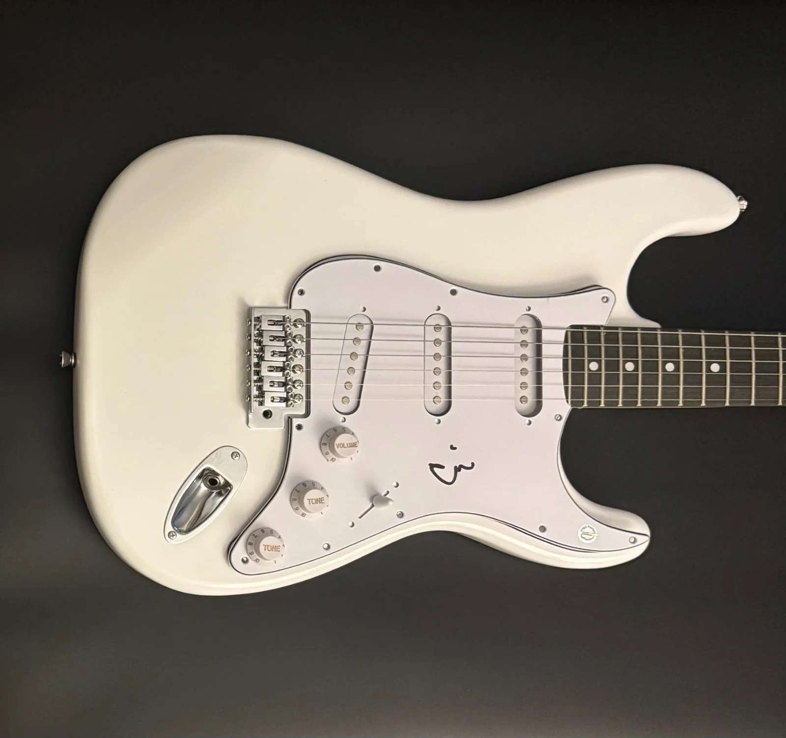 GFA Gorilla Biscuits Band * ANTHONY CIV CIVARELLI * Signed Electric Guitar COA, image 4