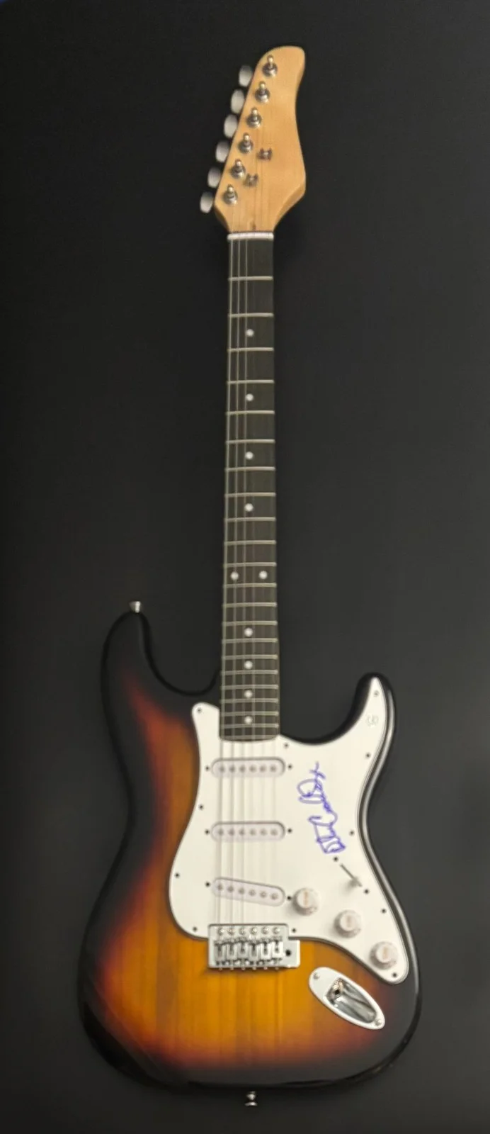 GFA Higher and Higher * RITA COOLIDGE * Signed Electric Guitar PROOF COA, image 4