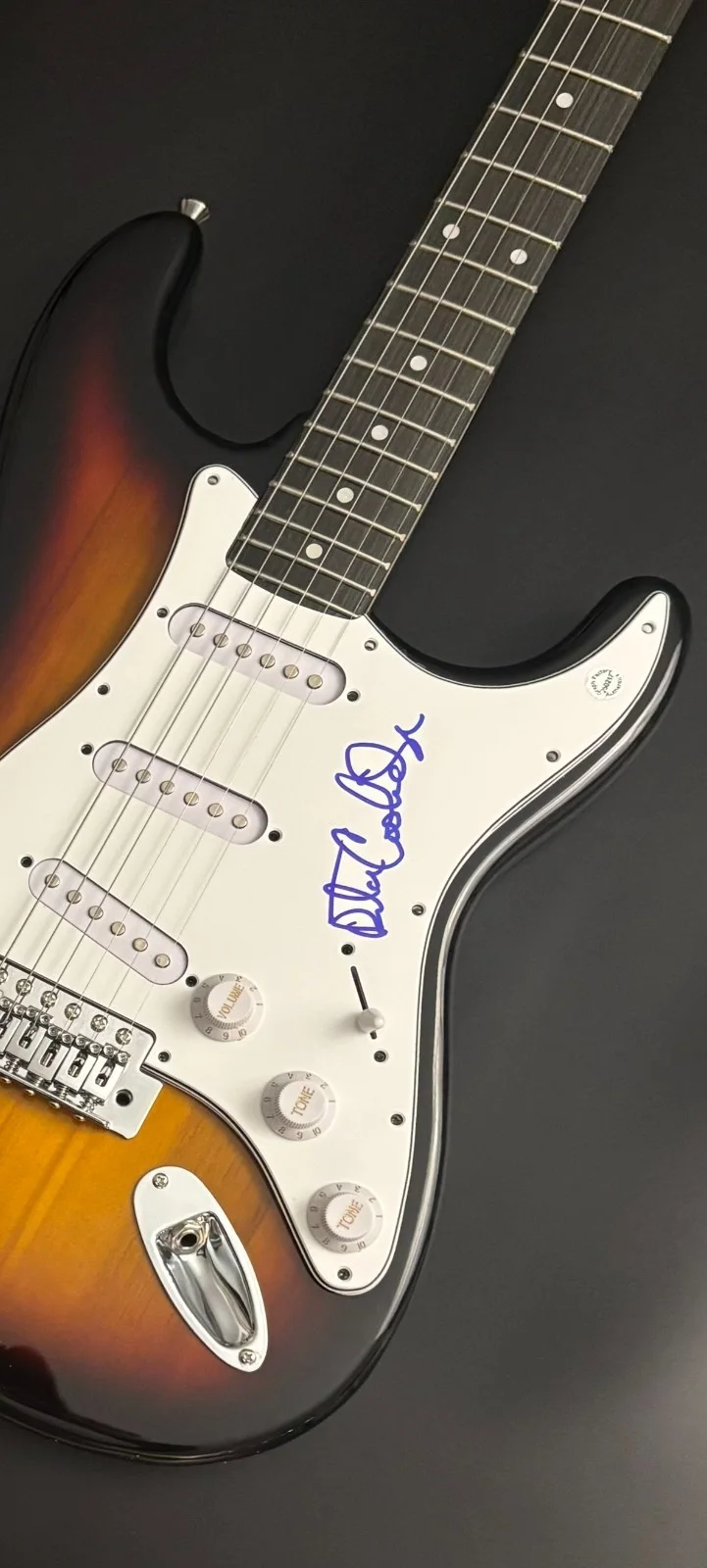 GFA Higher and Higher * RITA COOLIDGE * Signed Electric Guitar PROOF COA, image 5